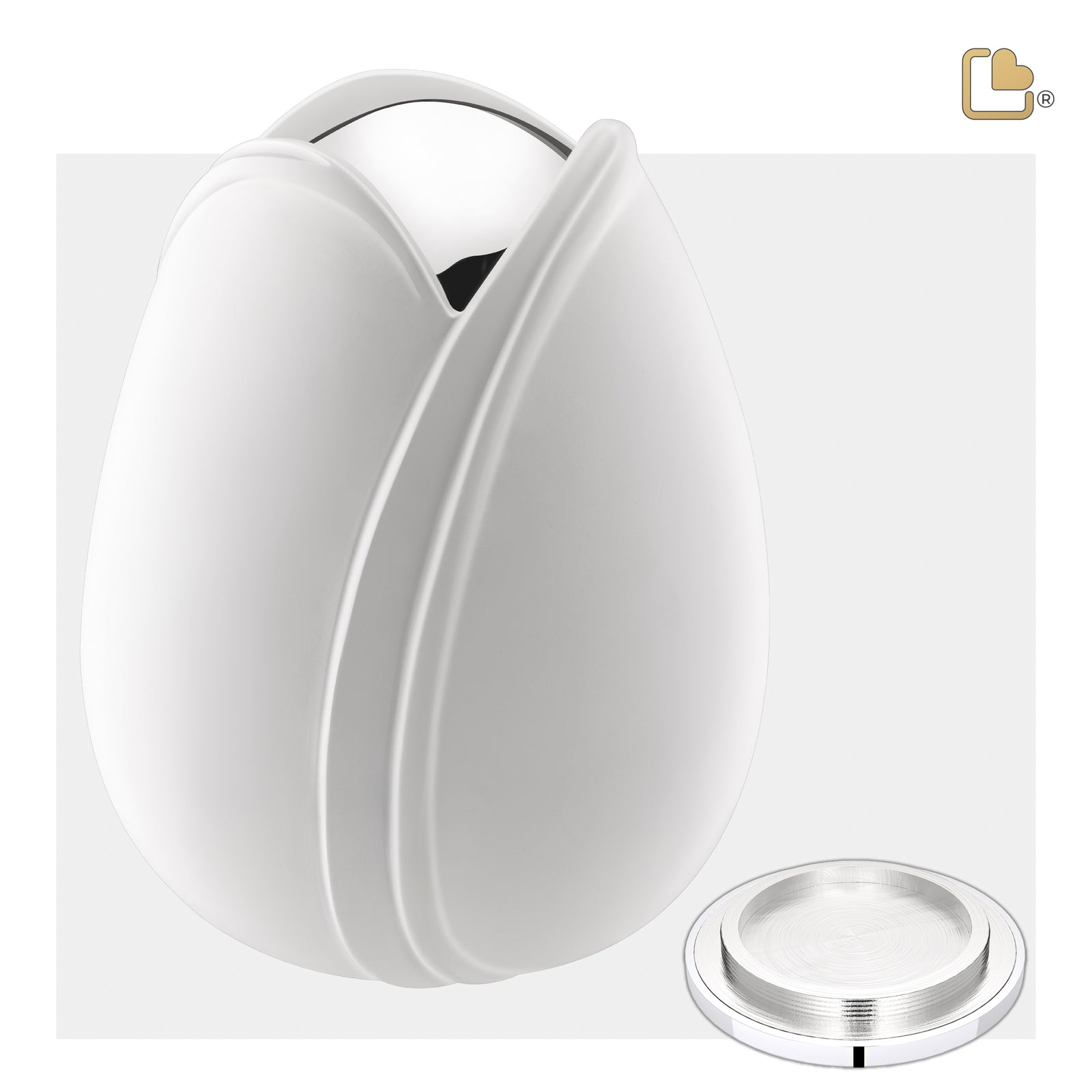 Tulip Standard Adult Urn White & Polished Silver