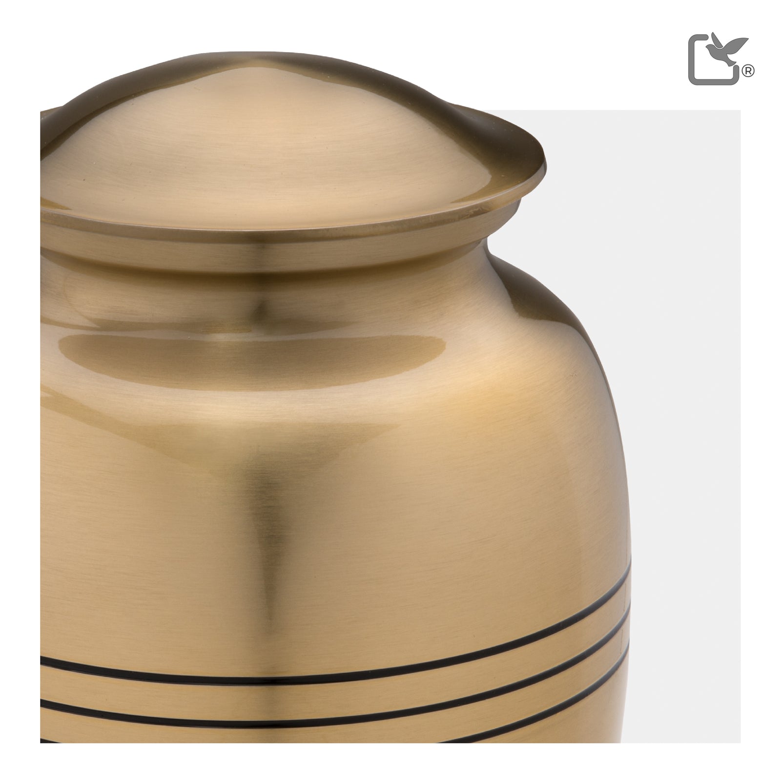 Adult Radiance Gold Portrait Cremation Urn - COMFORT by LoveUrns