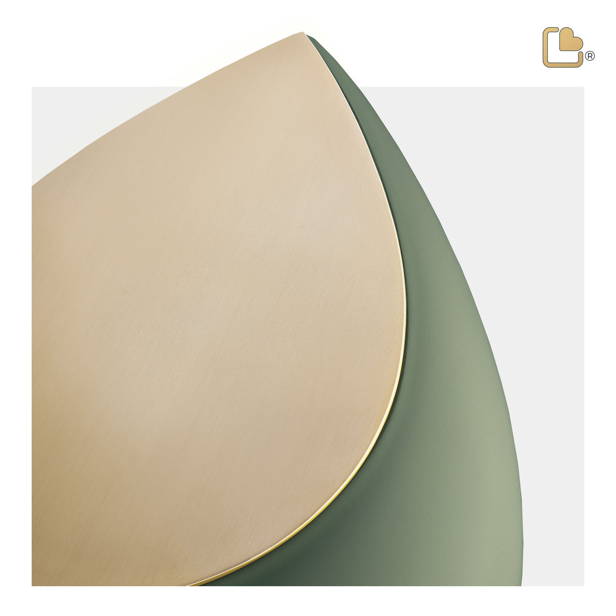 Drop Standard Adult Portrait Urn Sage Green & Brushed Gold