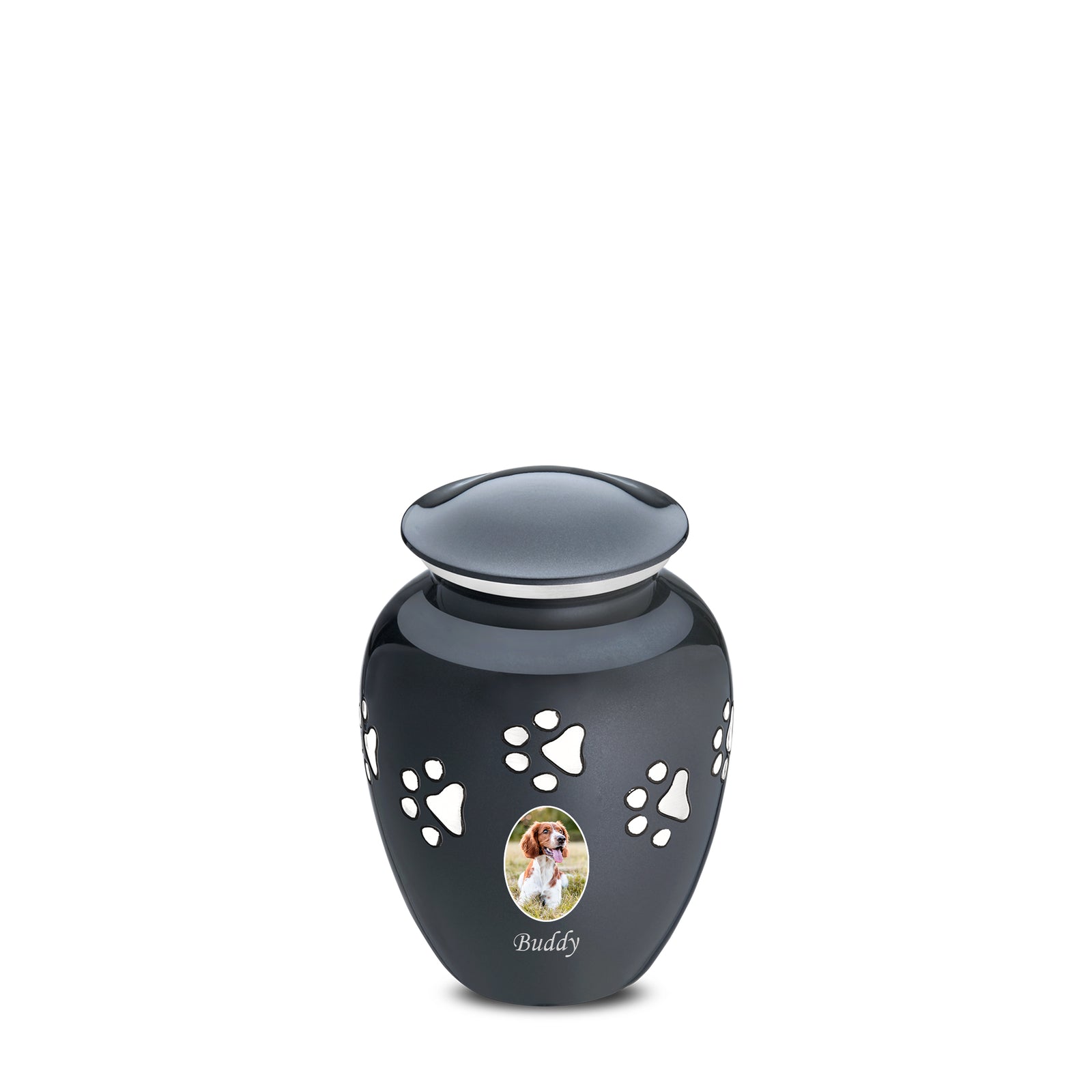 Classic Midnight Portrait Small Pet Cremation Urn