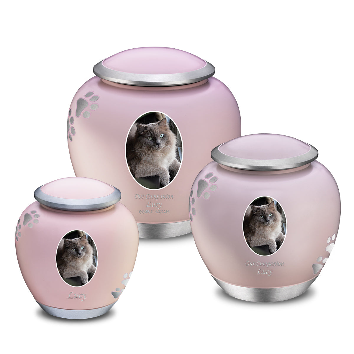 Shadow Small Portrait Pawprint Pet Urn Pink & Brushed Pewter