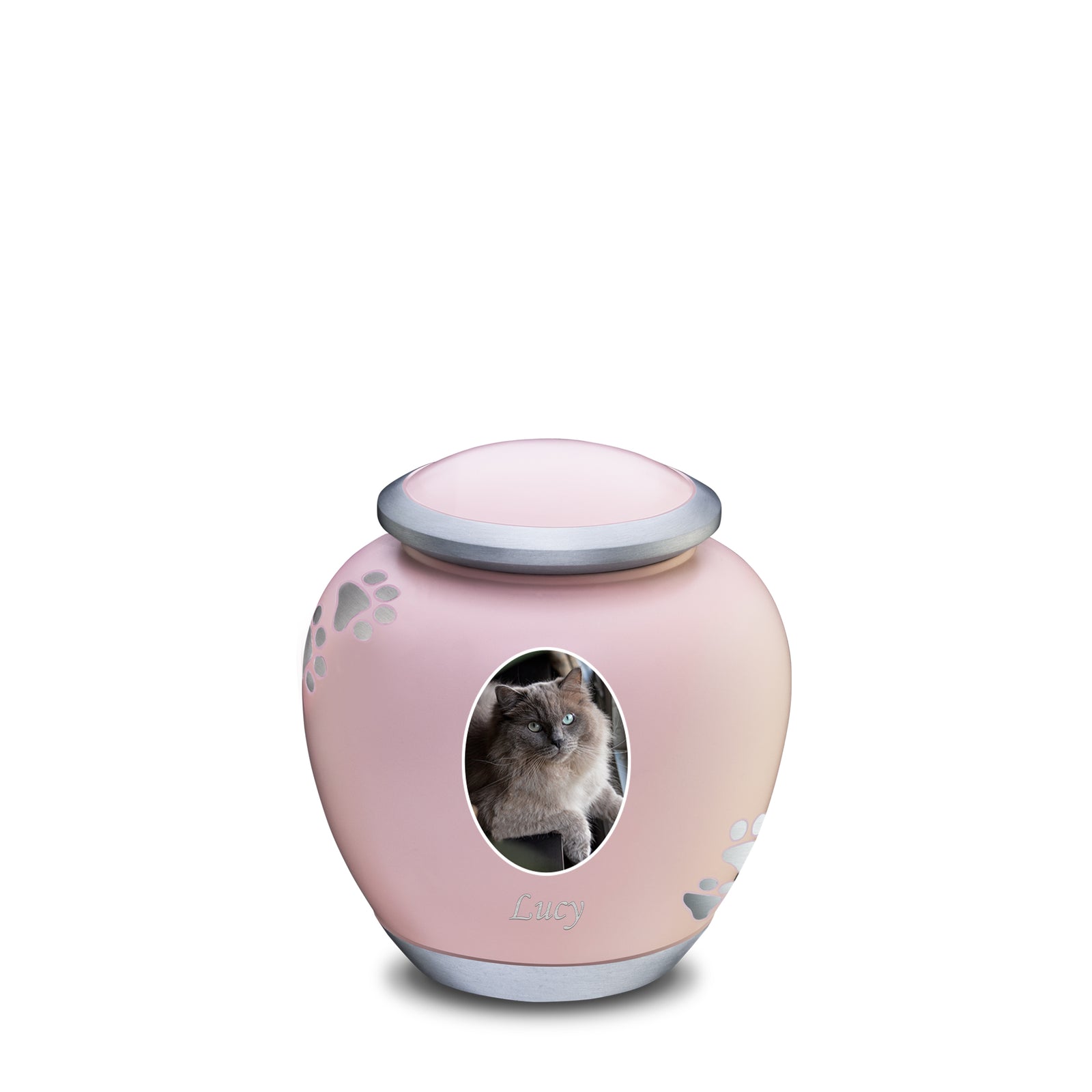 Shadow Small Portrait Pawprint Pet Urn Pink & Brushed Pewter