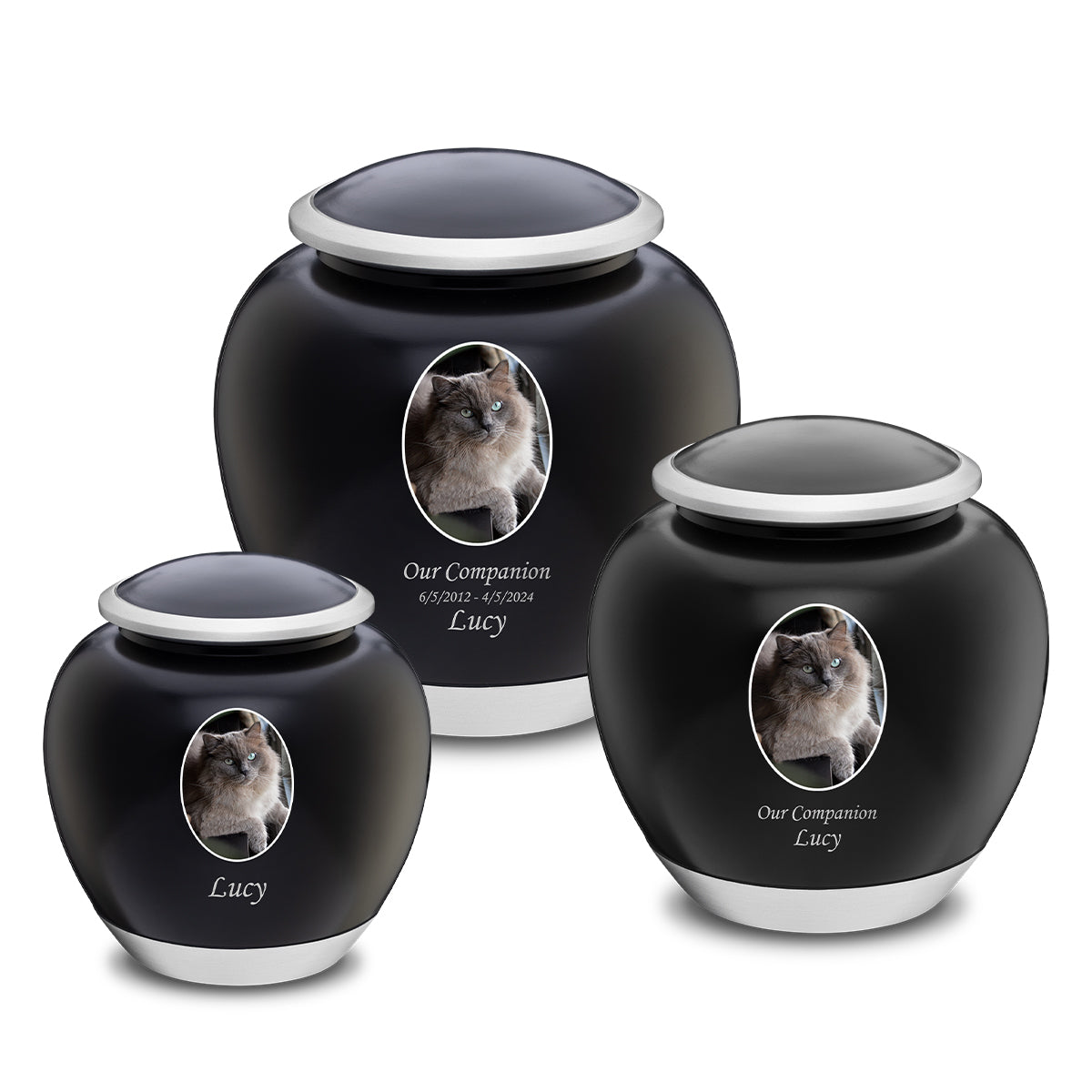 Shadow Large Pet Portrait Urn Black & Bru Pewter