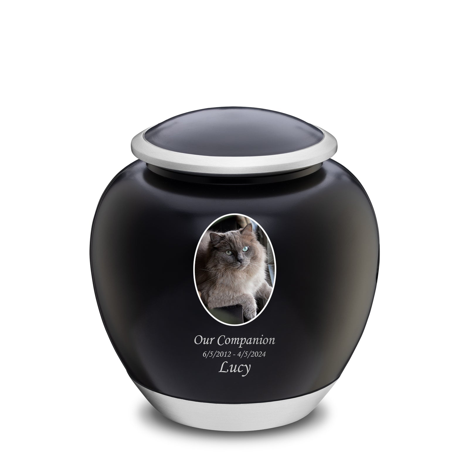 Shadow Large Pet Portrait Urn Black & Bru Pewter