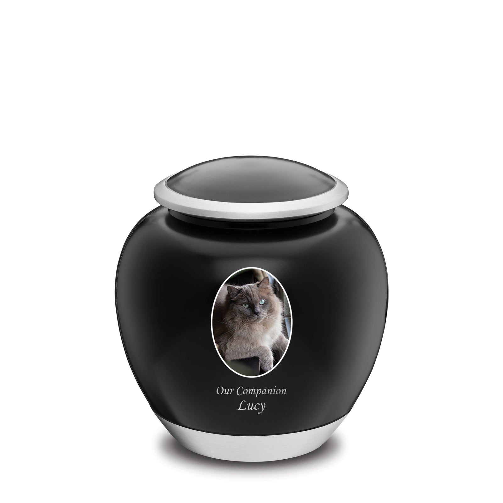 Shadow Medium Pet Portrait Urn Black & Bru Pewter