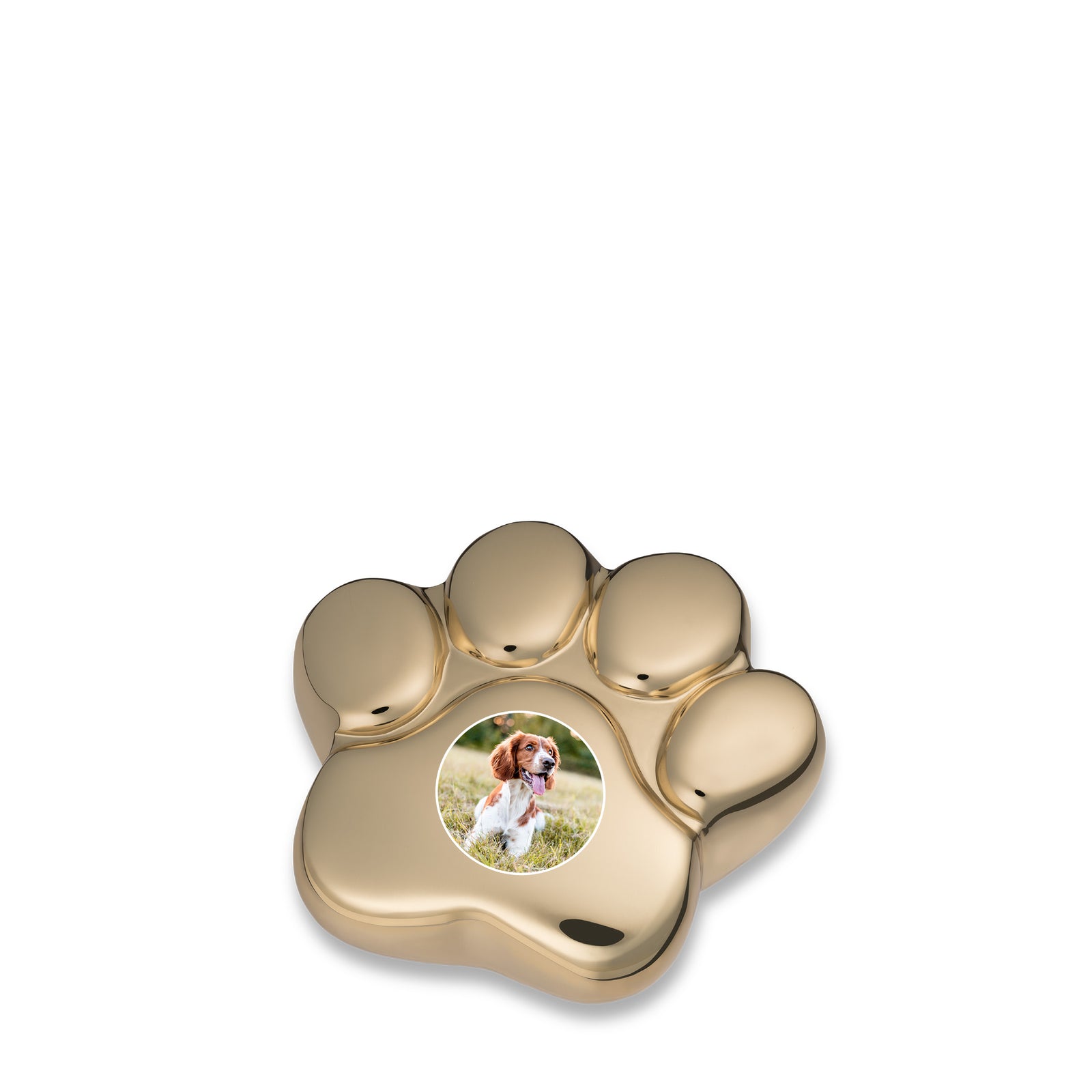 LovePaw Portrait Shiny Brass Keepsake Pet Cremation Urn