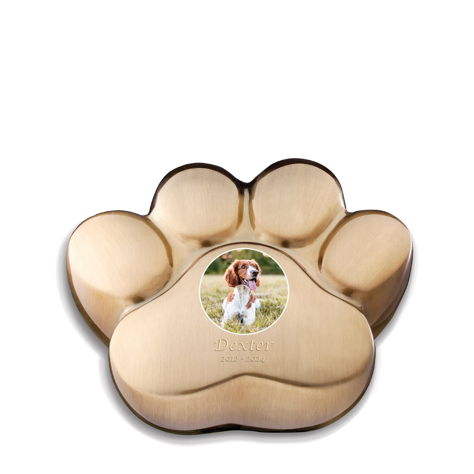 LovePaw Portrait Medium Pet Bru Gold