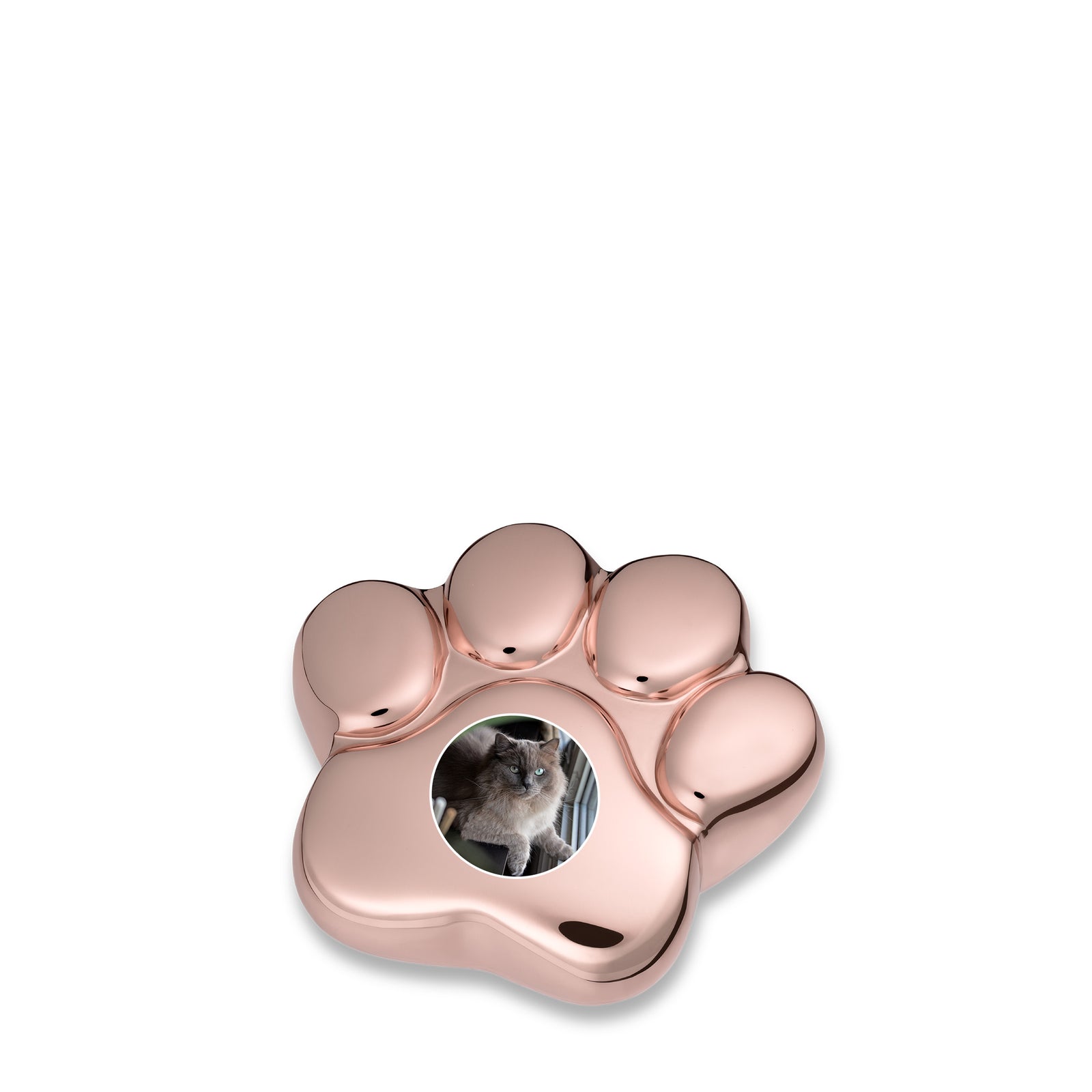 LovePaw Portrait Shiny Rose Gold Keepsake Pet Cremation Urn