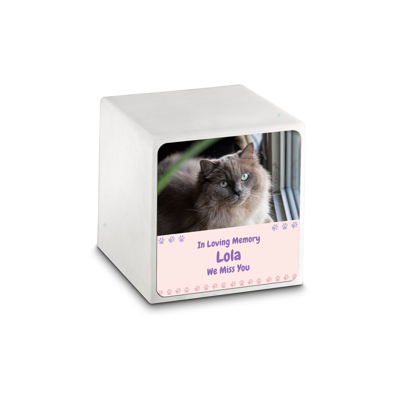 Small Cube Pet Photo Memorial Glacier White Cultured Marble Pet Cremation Urn by MacKenzie