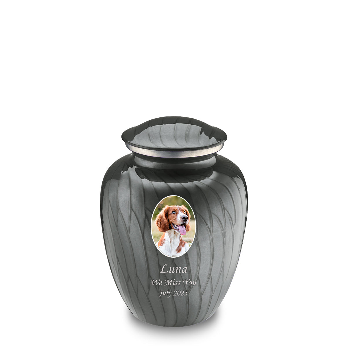 Medium Pet Embrace Pearl Silver Portrait Cremation Urn