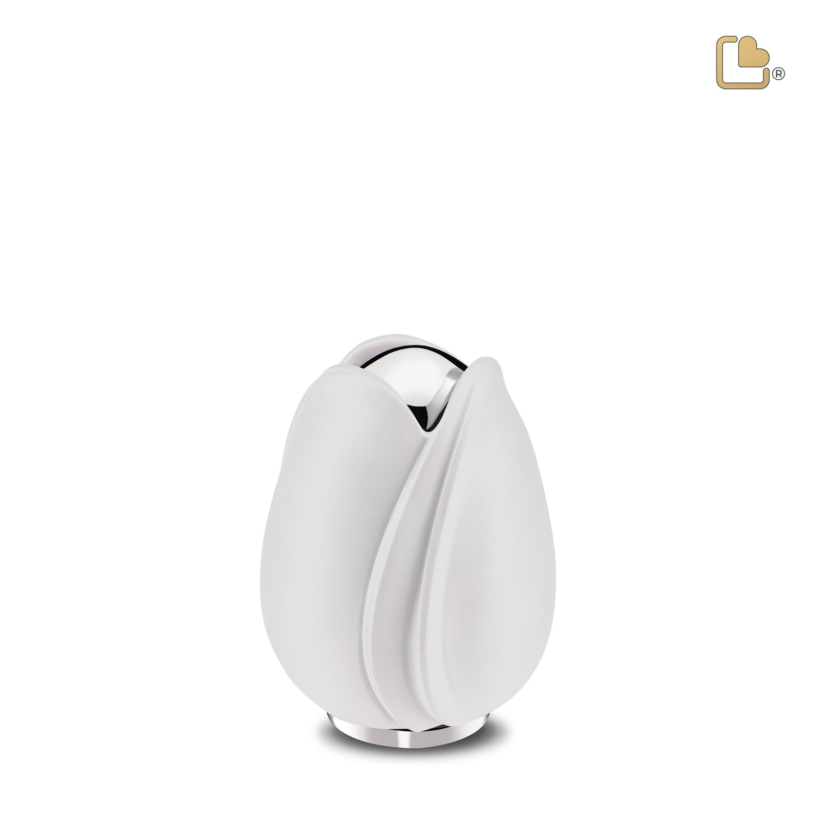 Tulip Keepsake Urn White & Polished Silver