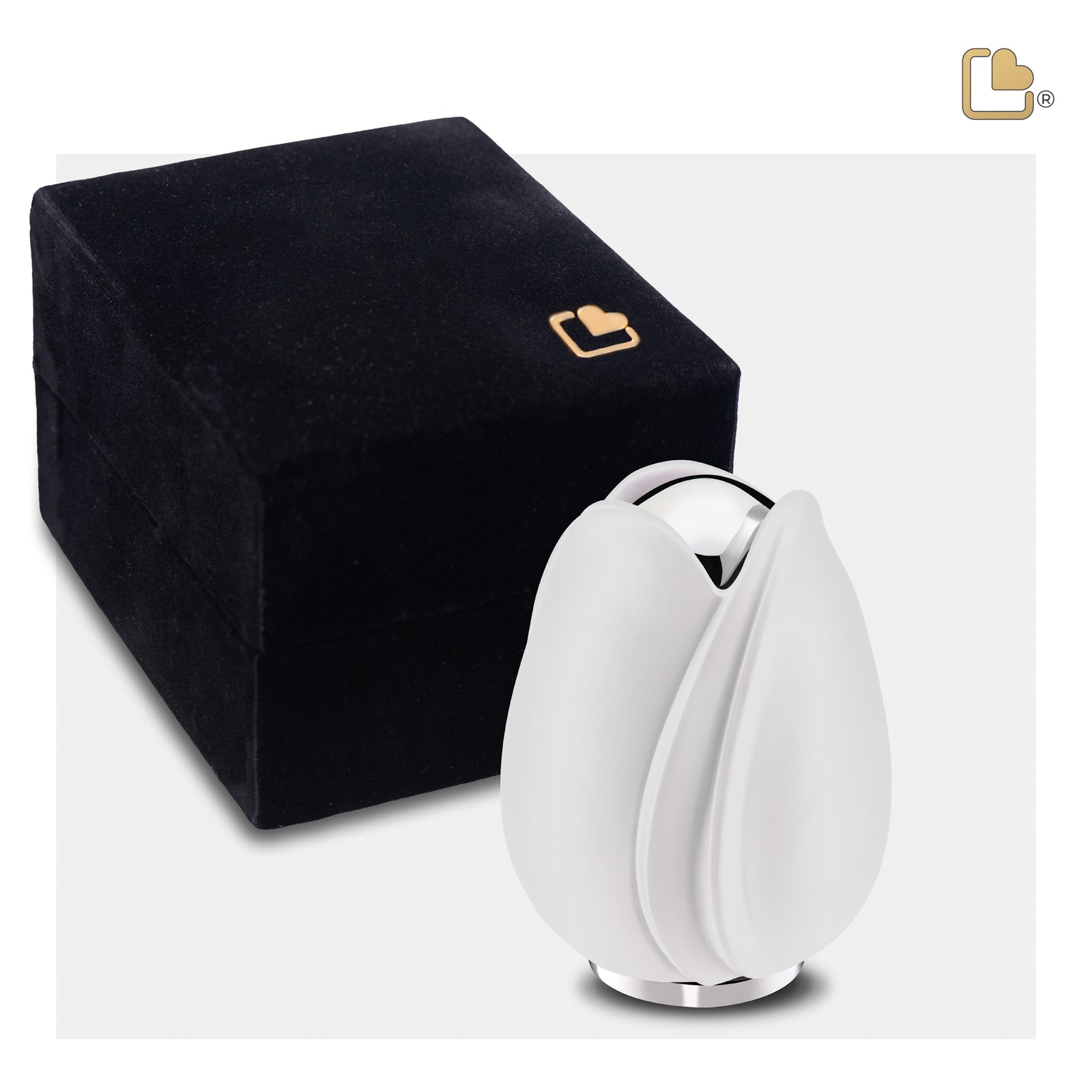 Tulip Keepsake Urn White & Polished Silver