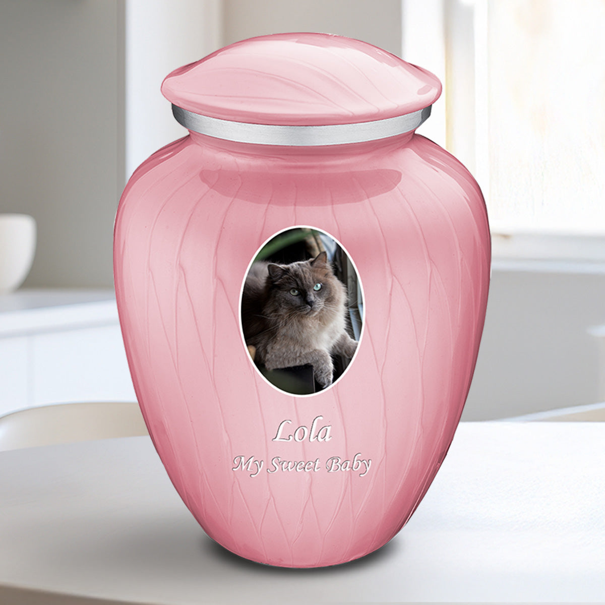 Medium Pet Embrace Pearl Pink Portrait Cremation Urn