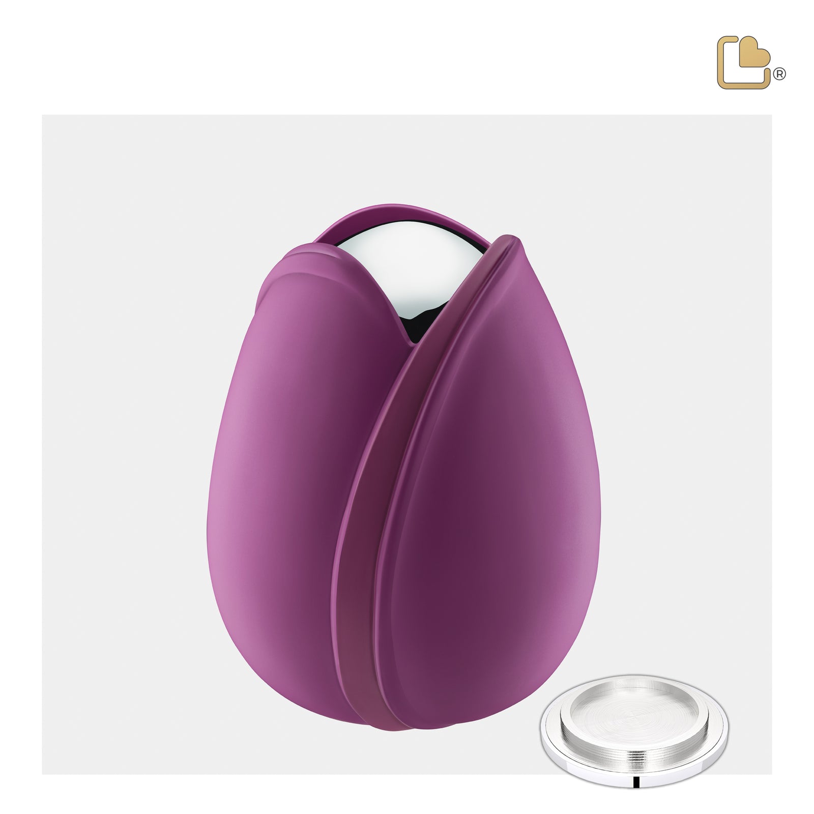 Tulip Medium Urn Purple & Polished Silver