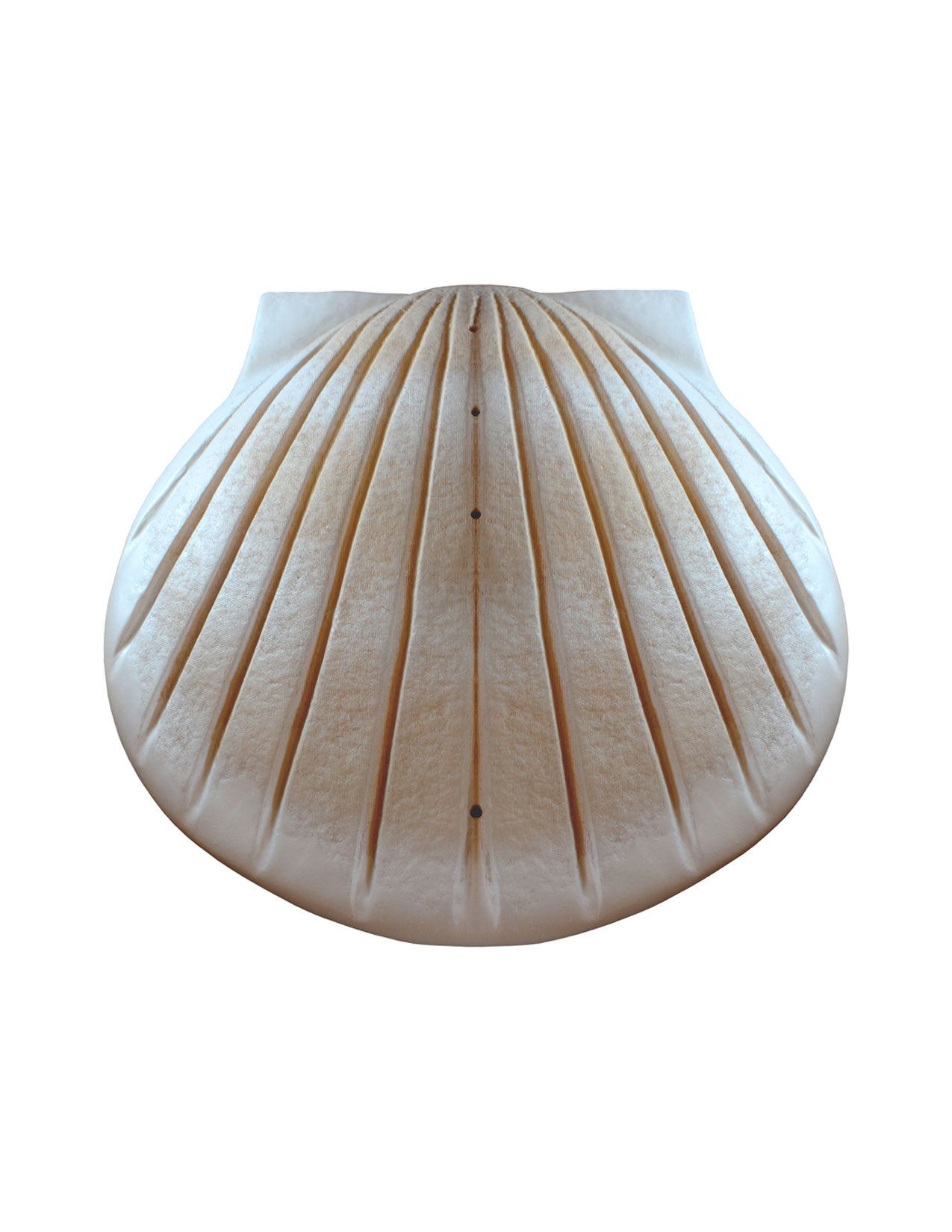 Pearl - The Shell™ Biodegradable Cremation Urn
