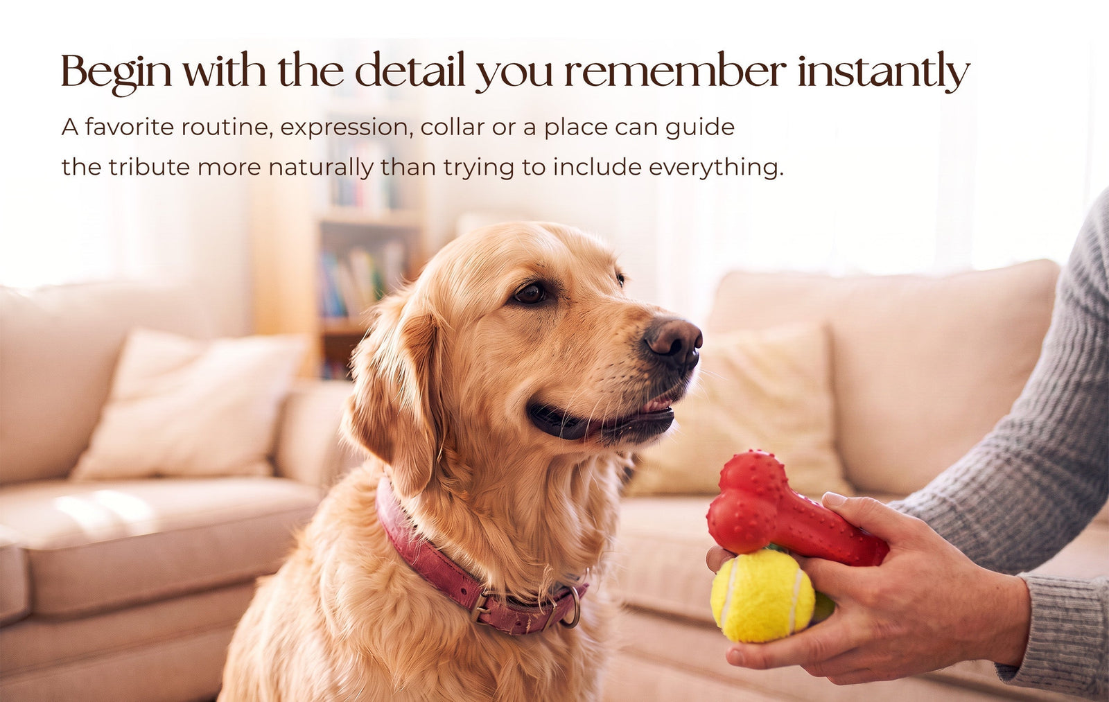 Memorial Ideas After Losing a Dog: Urns, Jewelry, and Home Tributes