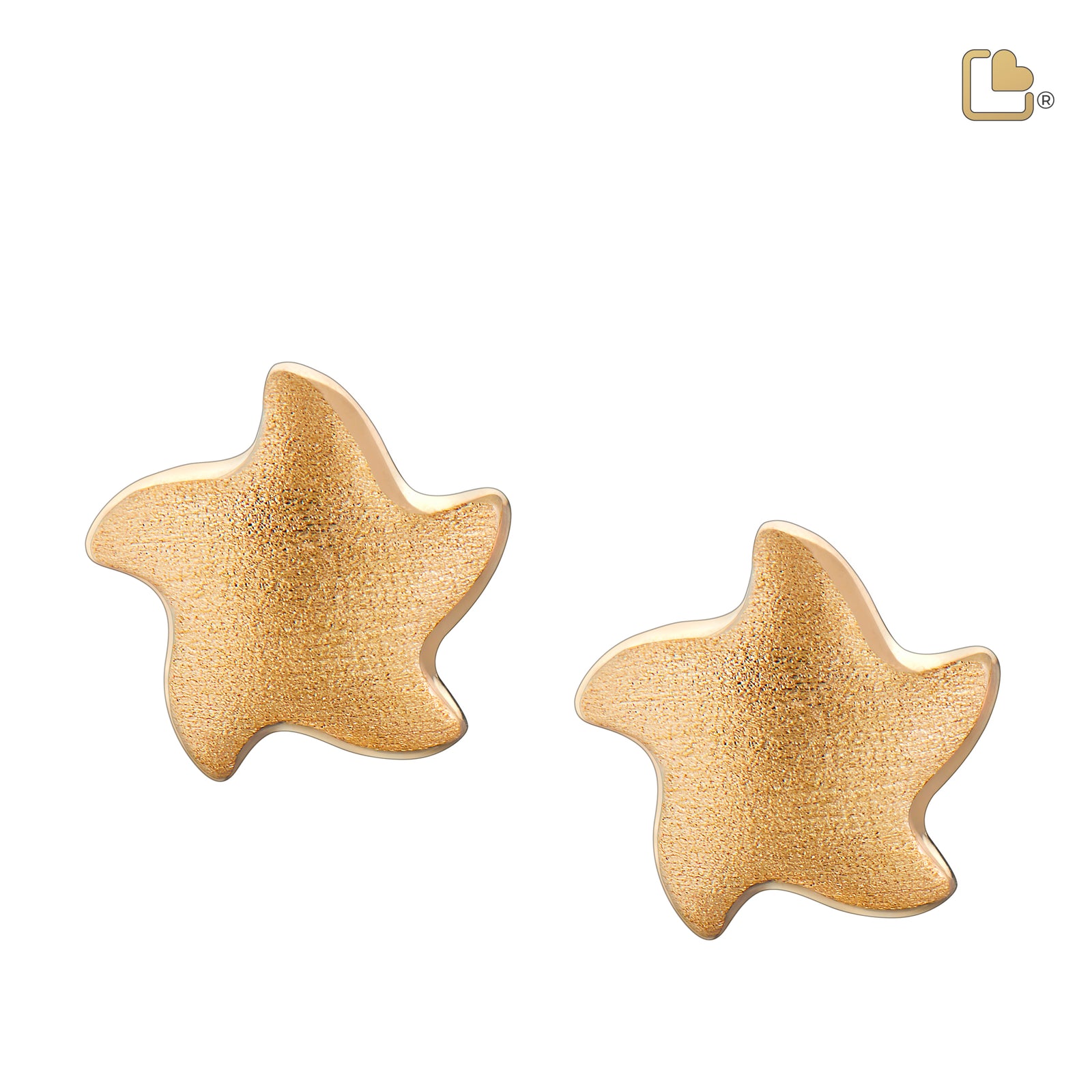 Angelic Star Gold Vermeil Two Tone Sterling Silver Stud Earrings