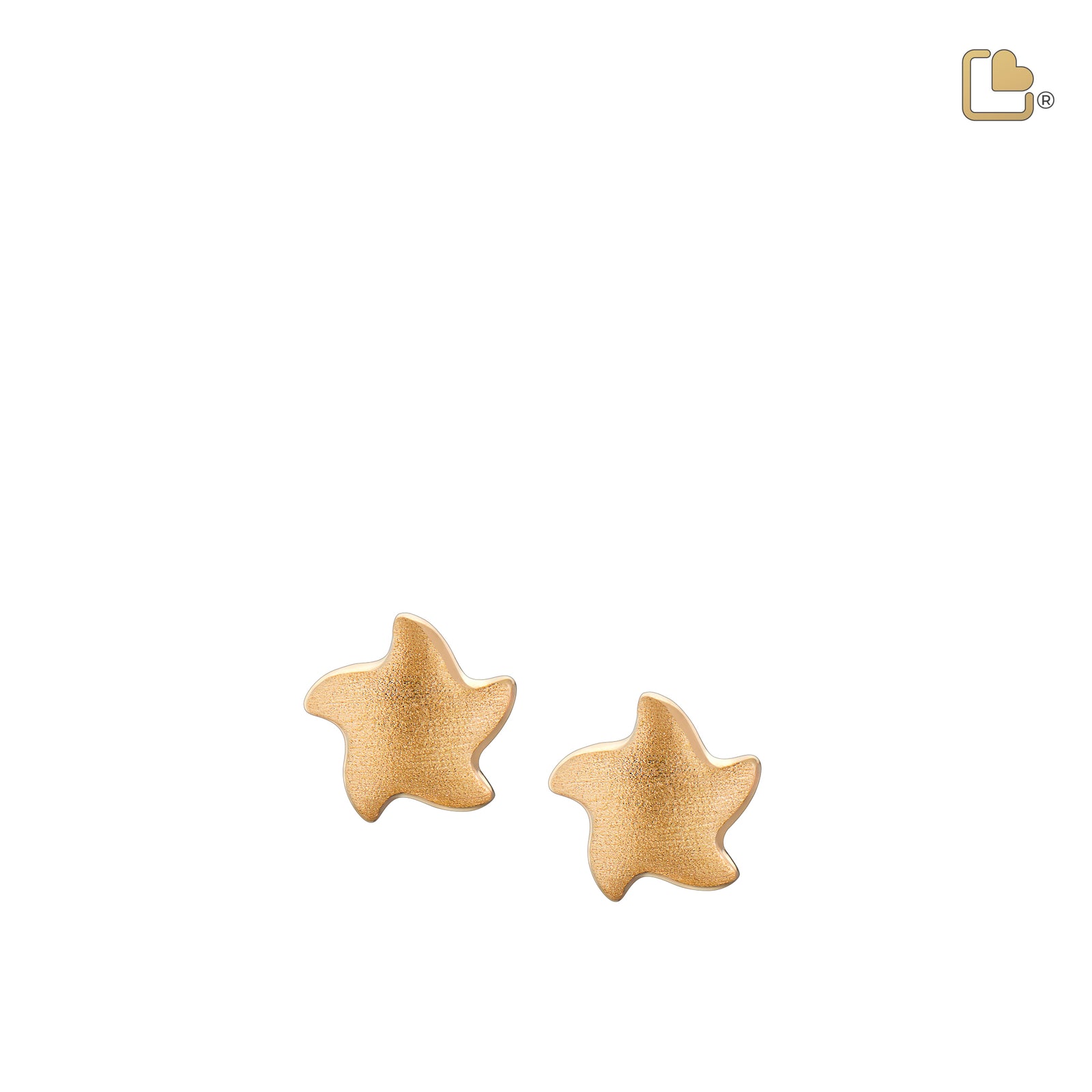 Angelic Star Gold Vermeil Two Tone Sterling Silver Stud Earrings