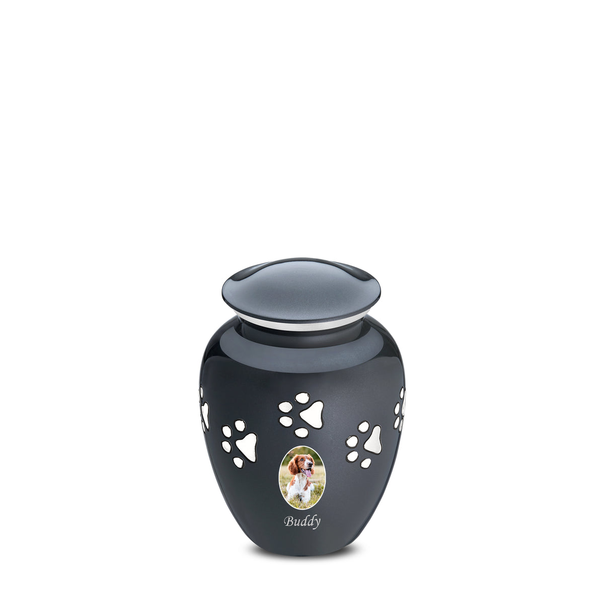 Classic Midnight Portrait Small Pet Cremation Urn