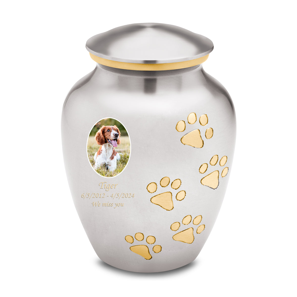 Classic Pewter Portrait Pet Large Urn