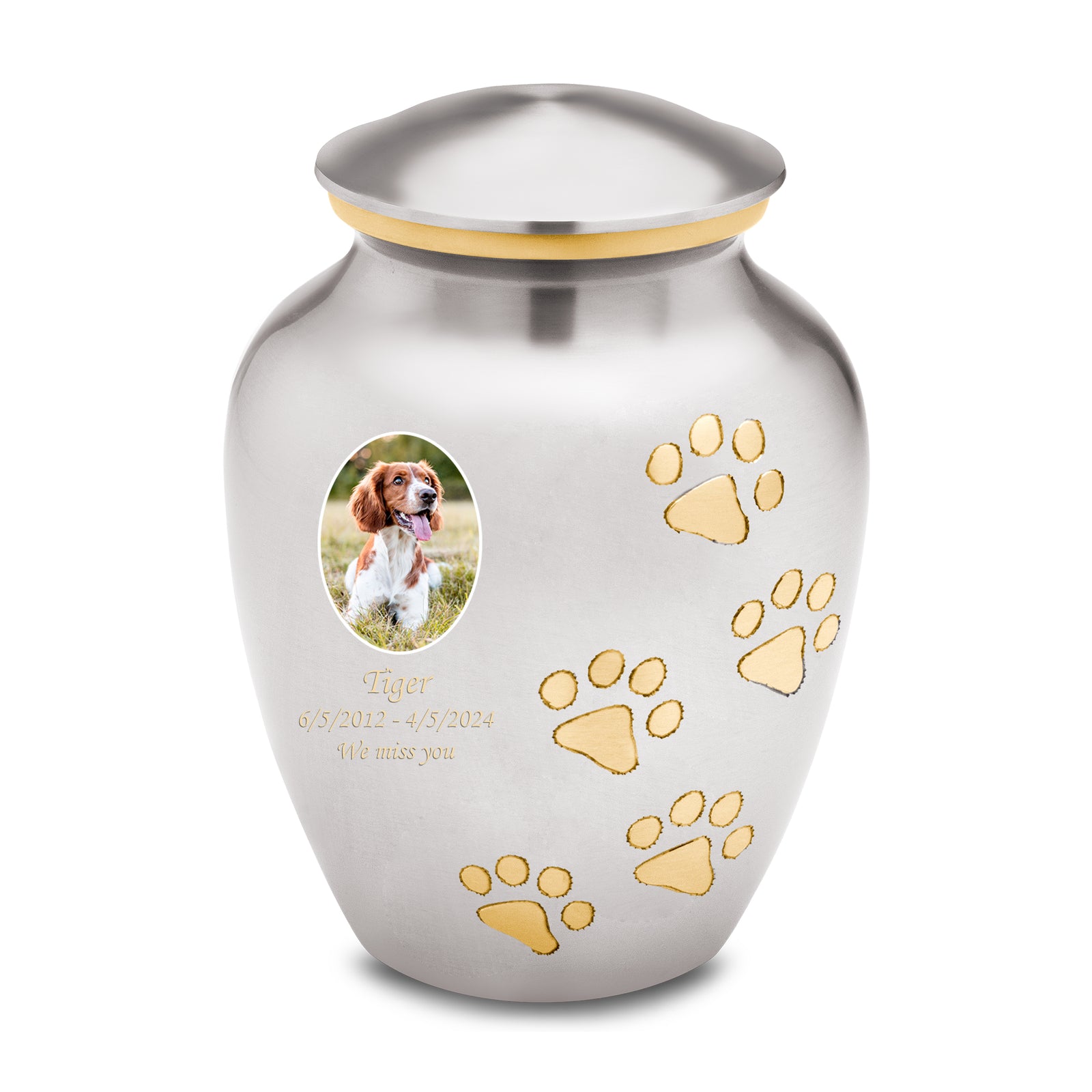 Classic Pewter Portrait Pet Large Urn