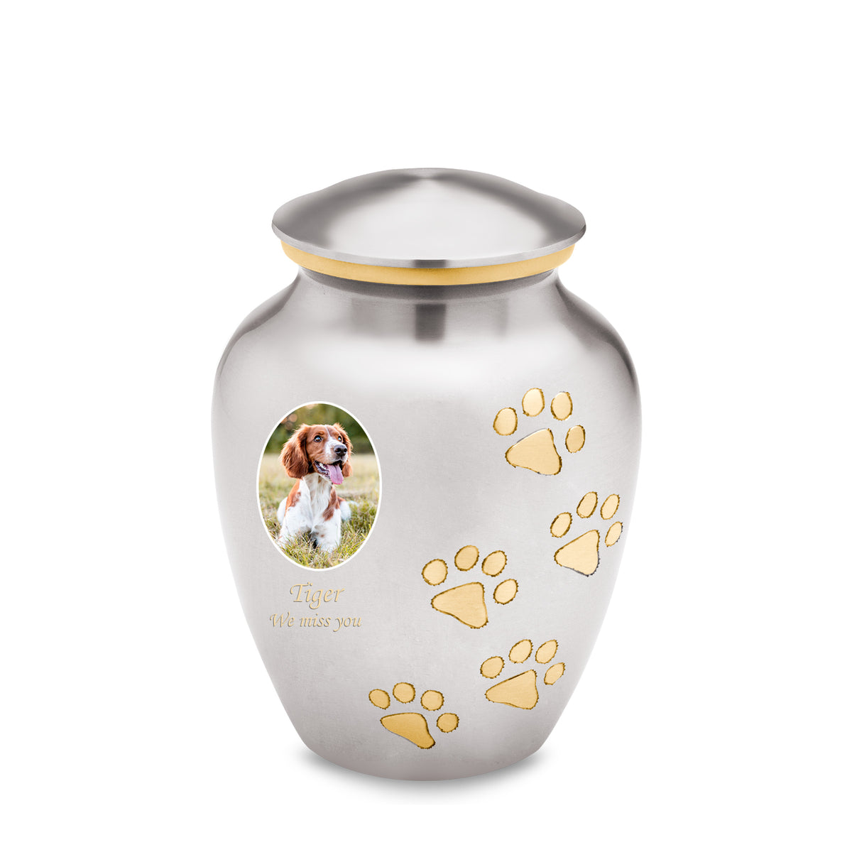 Classic Pewter Portrait Pet Medium Urn