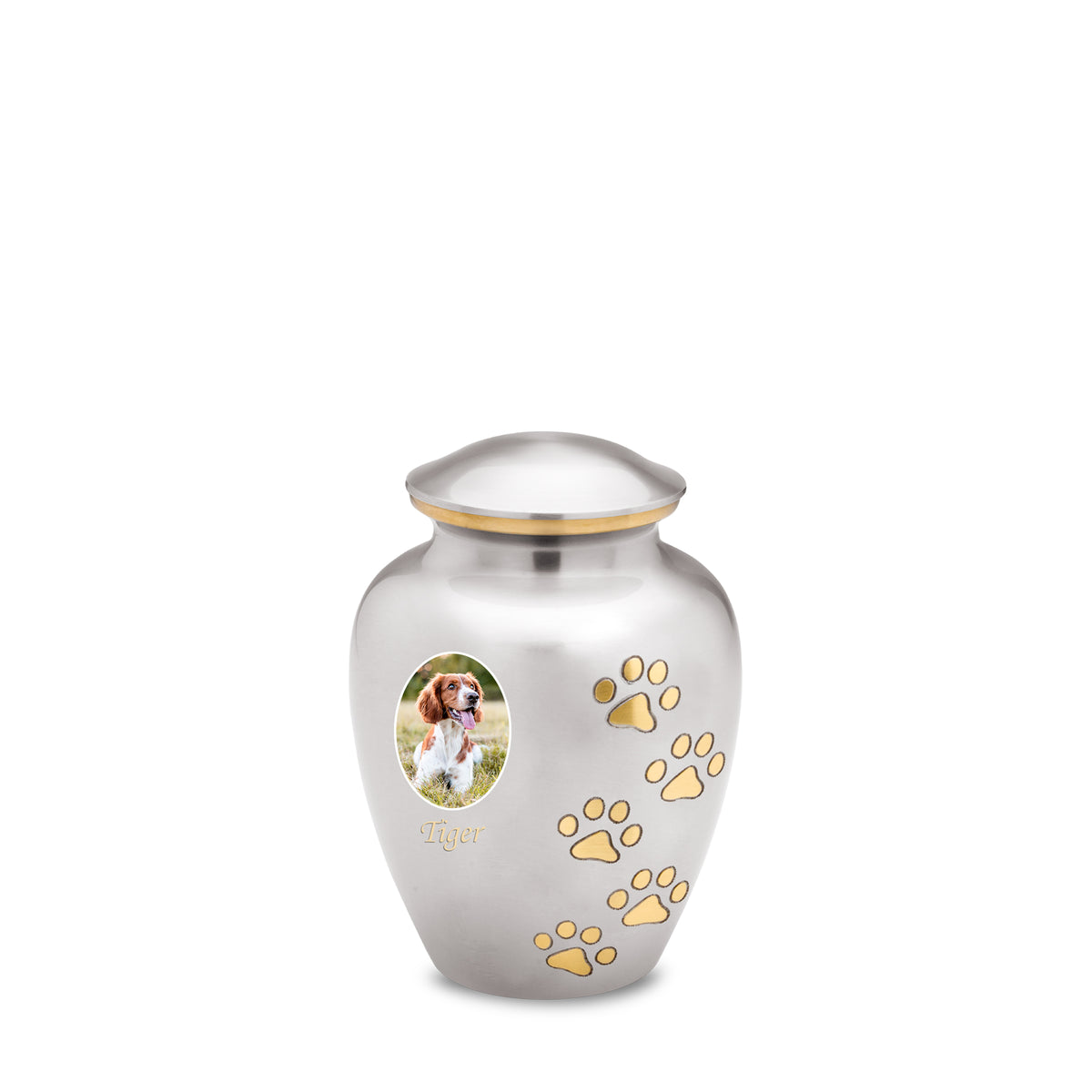 Classic Pewter Portrait Pet Small Urn