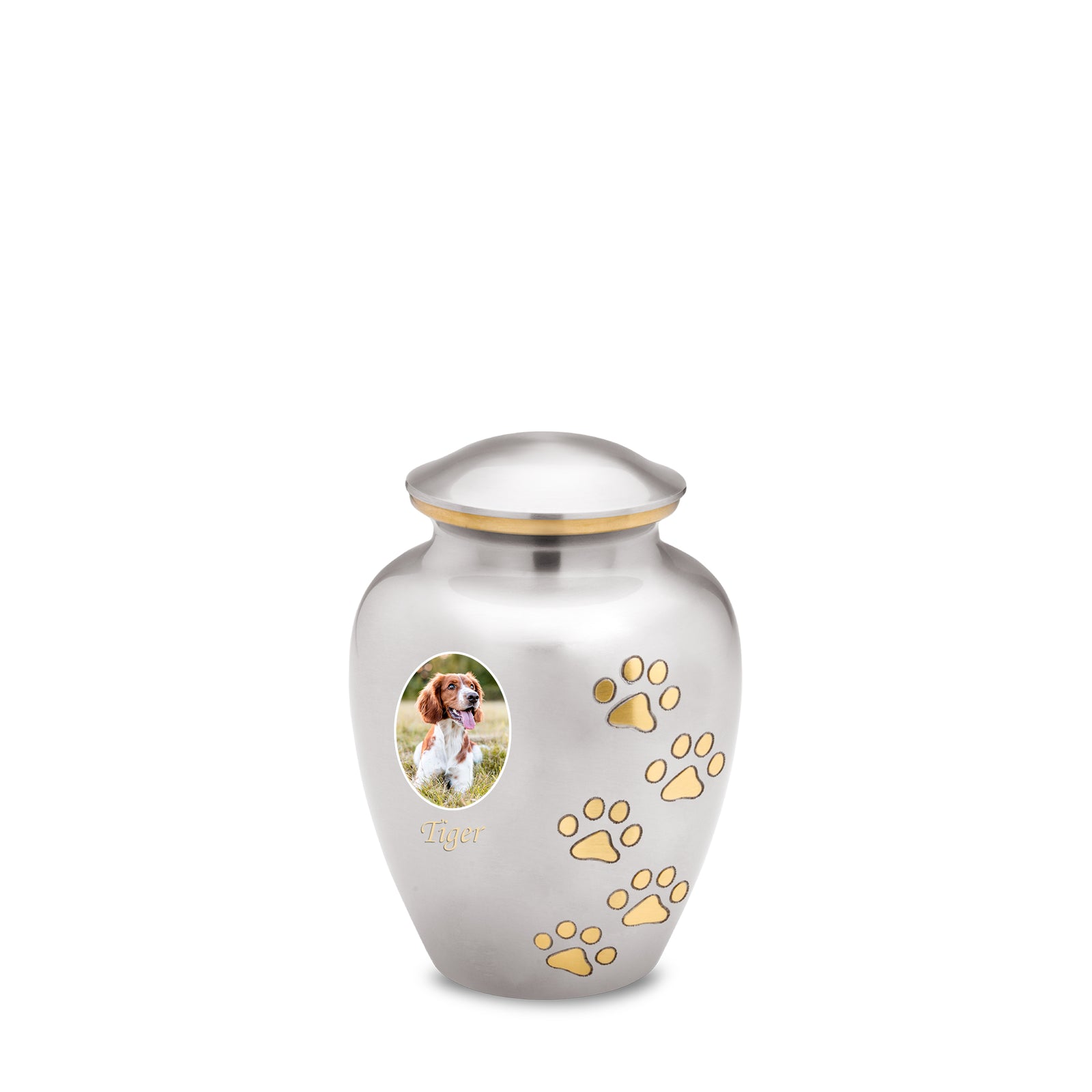 Classic Pewter Portrait Pet Small Urn