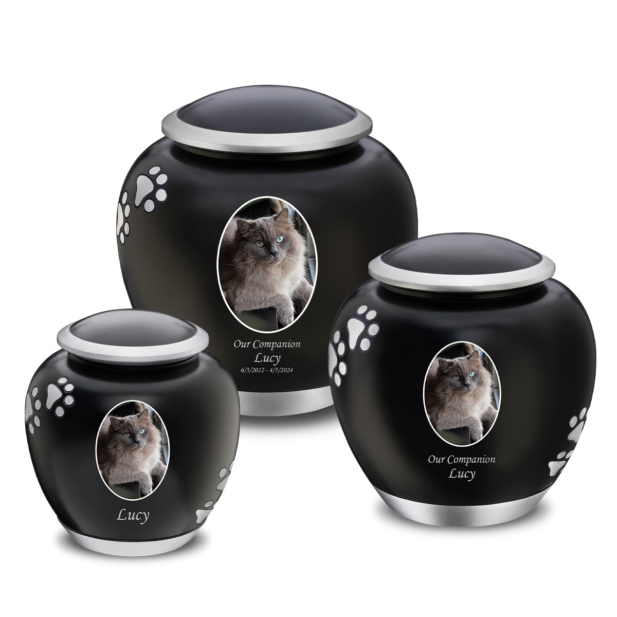 Shadow Large Portrait Pawprint Pet Urn Black & Bru Pewter