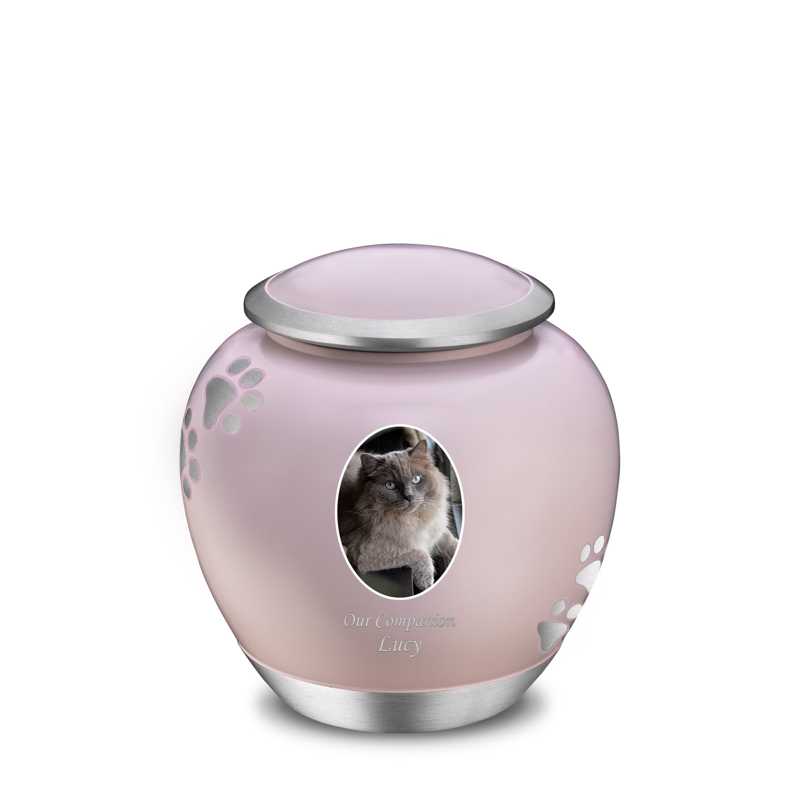 Shadow Medium Portrait Pawprint Pet Urn Pink & Bru Pewter