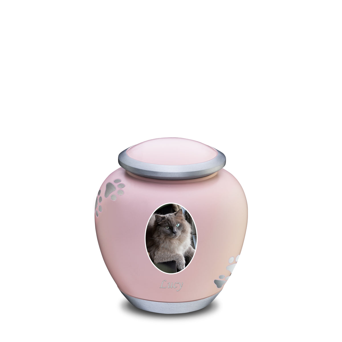 Shadow Small Portrait Pawprint Pet Urn Pink &amp; Brushed Pewter