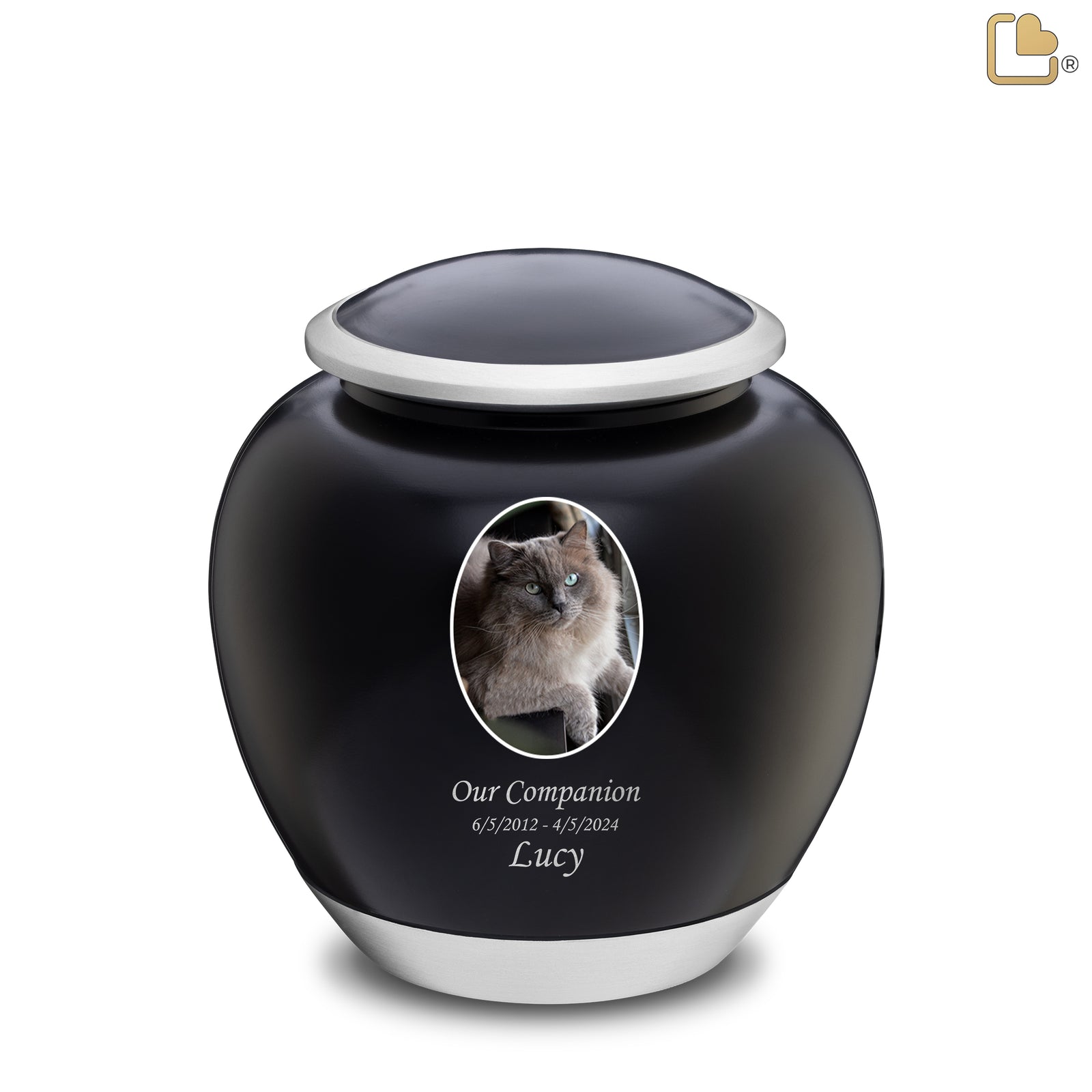 Shadow Large Pet Portrait Urn Black & Bru Pewter