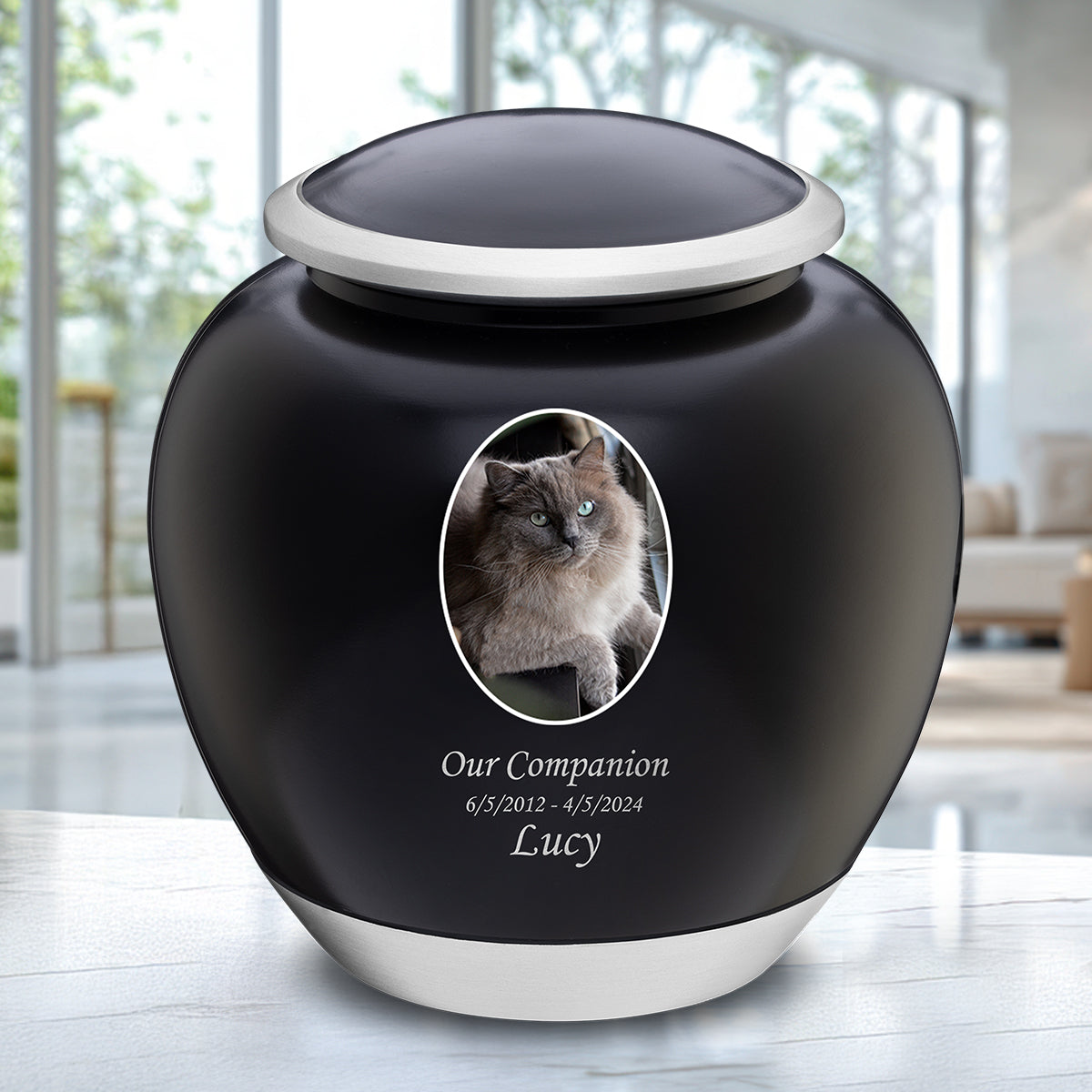 Shadow Large Pet Portrait Urn Black & Bru Pewter