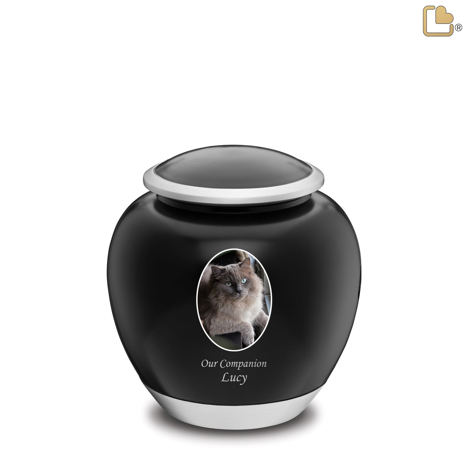Shadow Medium Pet Portrait Urn Black & Bru Pewter