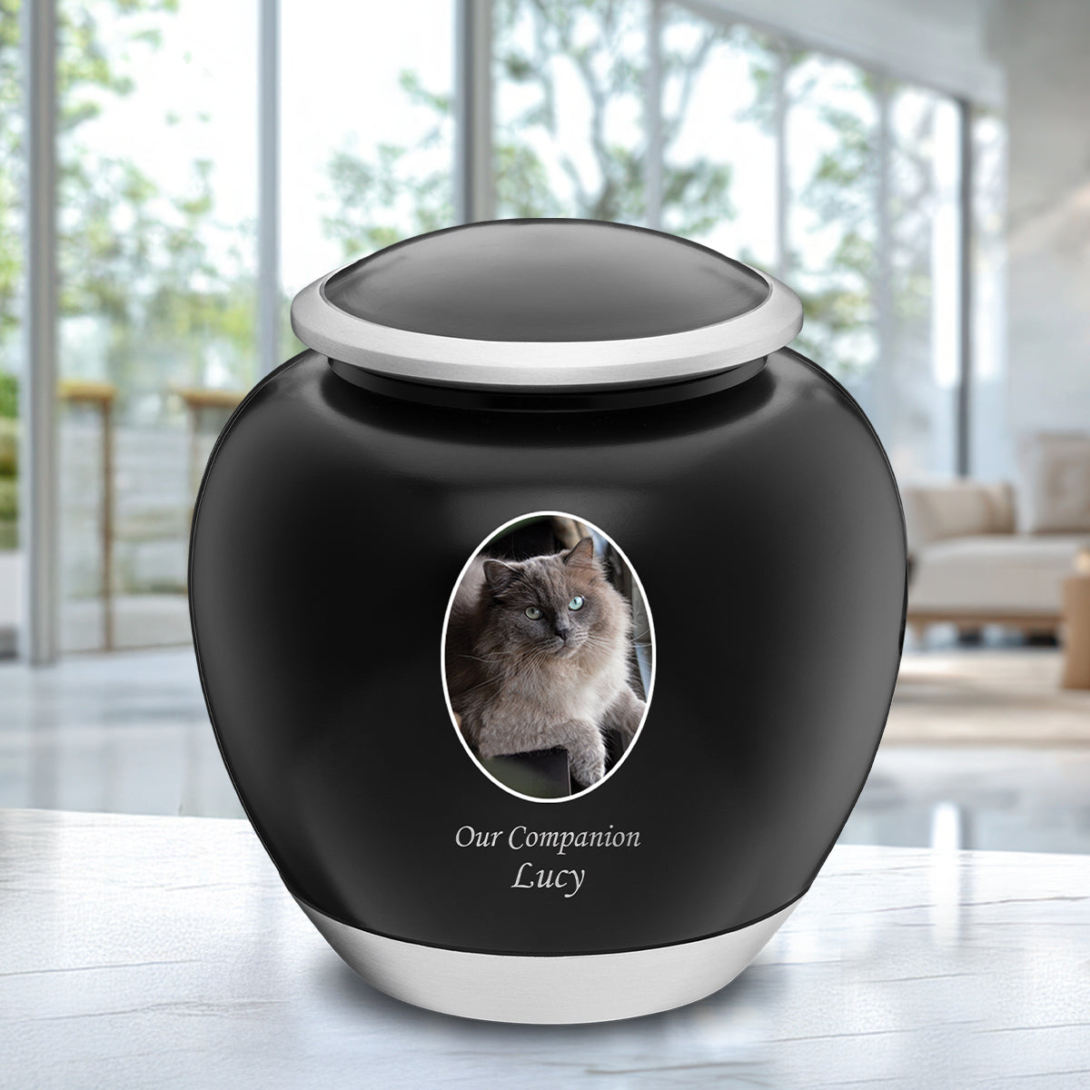 Shadow Medium Pet Portrait Urn Black & Bru Pewter