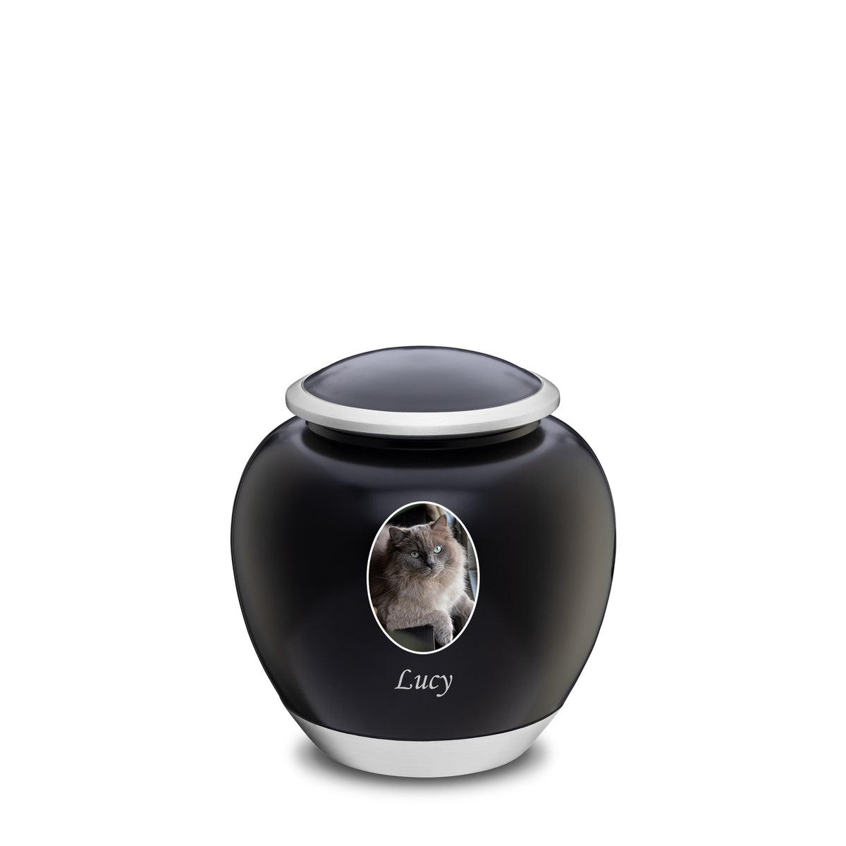Shadow Small Pet Portrait Urn Black &amp; Bru Pewter