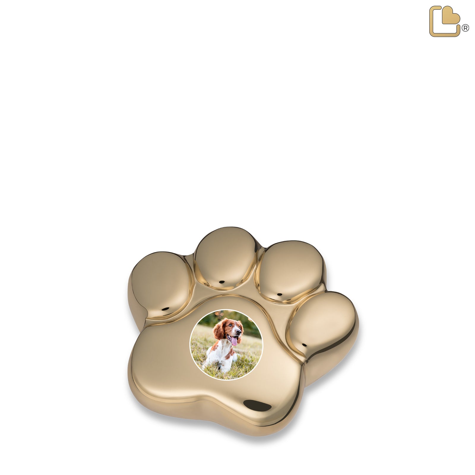 LovePaw Portrait Shiny Brass Keepsake Pet Cremation Urn