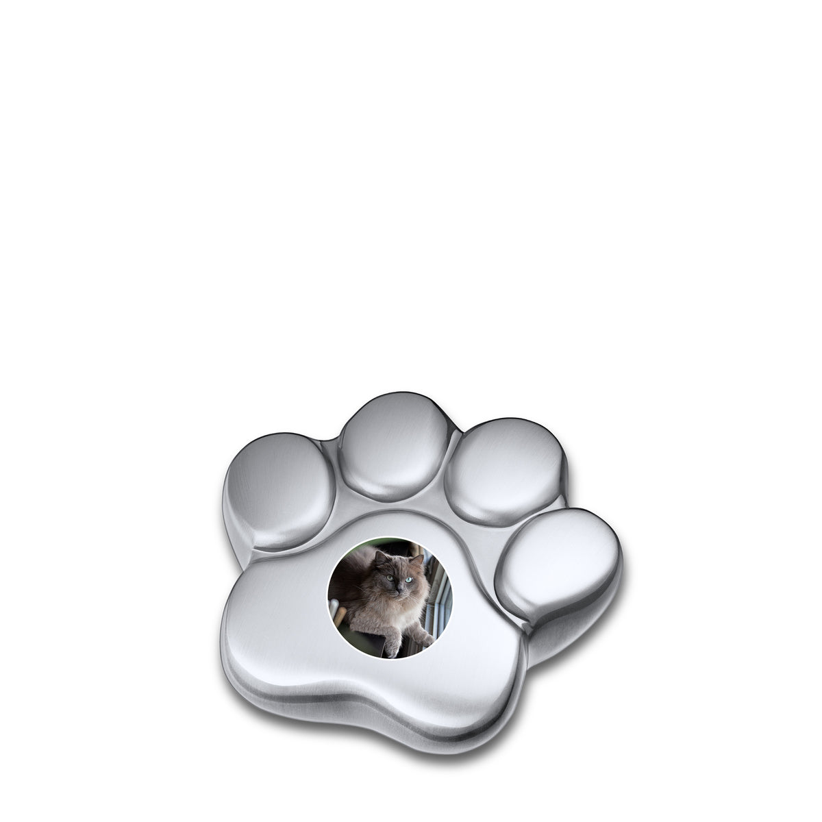 LovePaw Portrait Brushed Pewter Keepsake Pet Cremation Urn