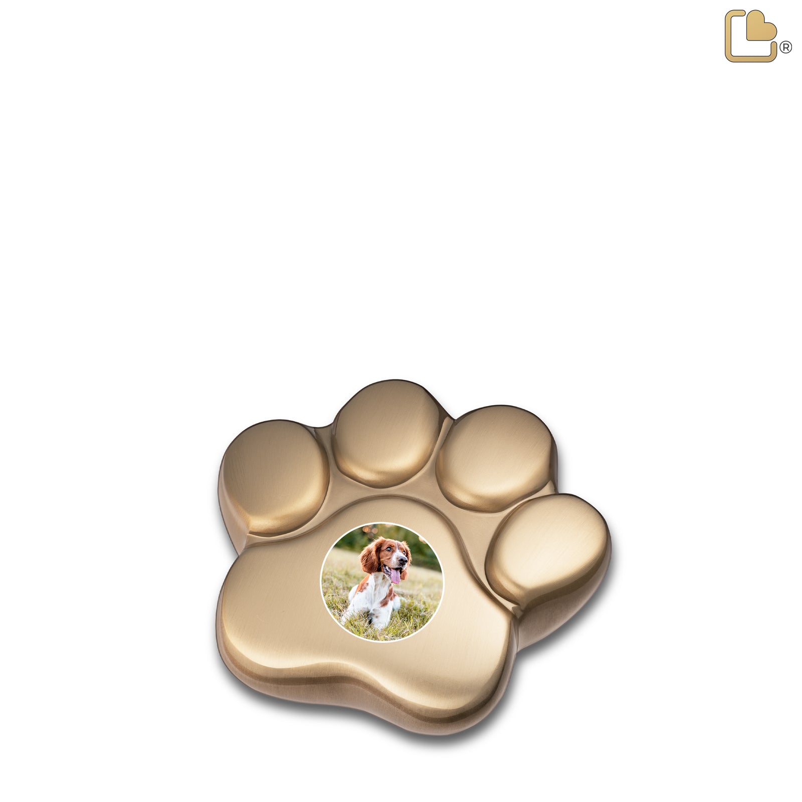 LovePaw Portrait Brushed Brass Keepsake Pet Cremation Urn