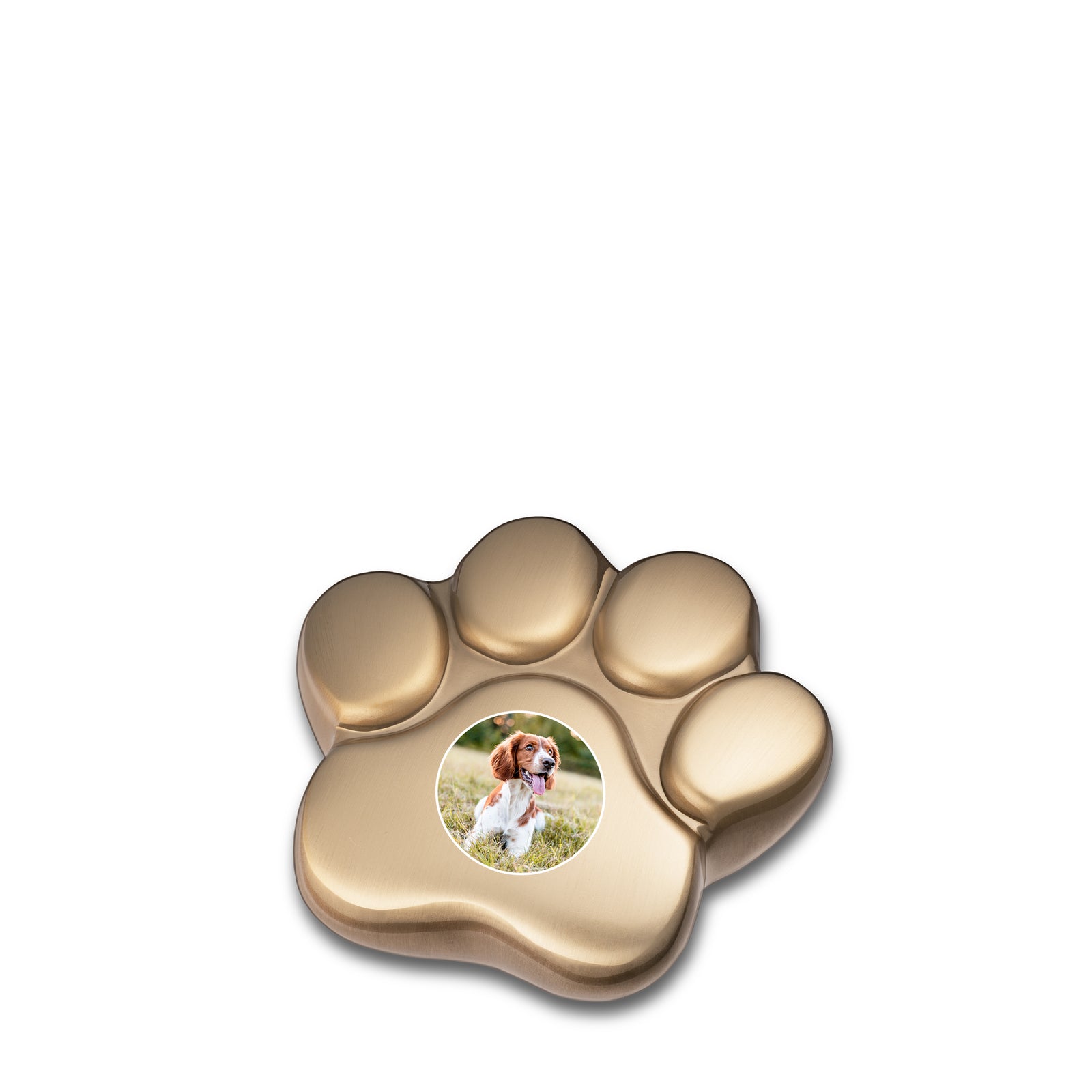 LovePaw Portrait Brushed Brass Keepsake Pet Cremation Urn