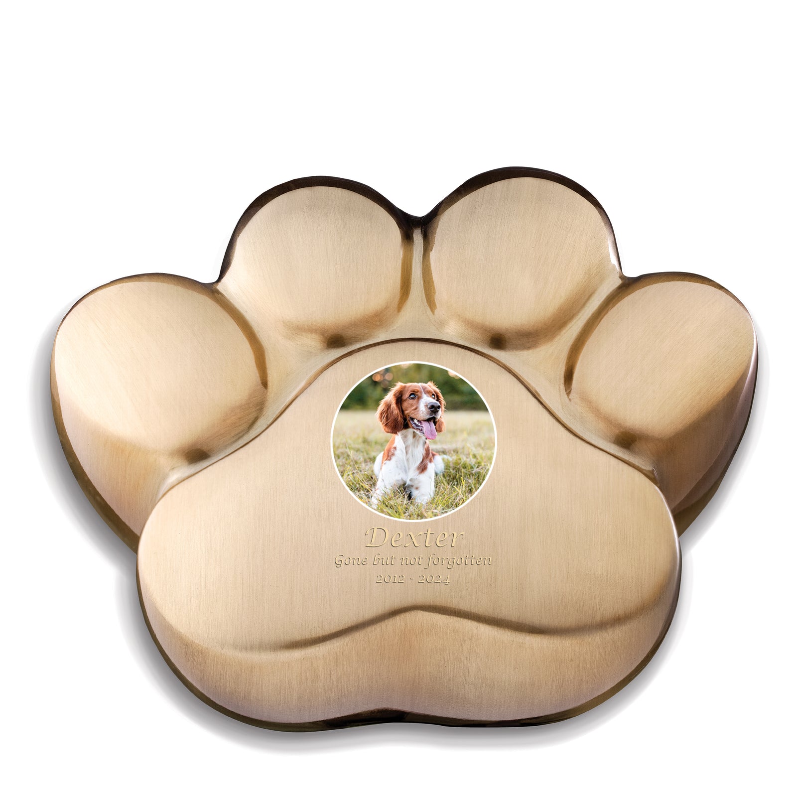 LovePaw Portrait Large Pet Bru Gold
