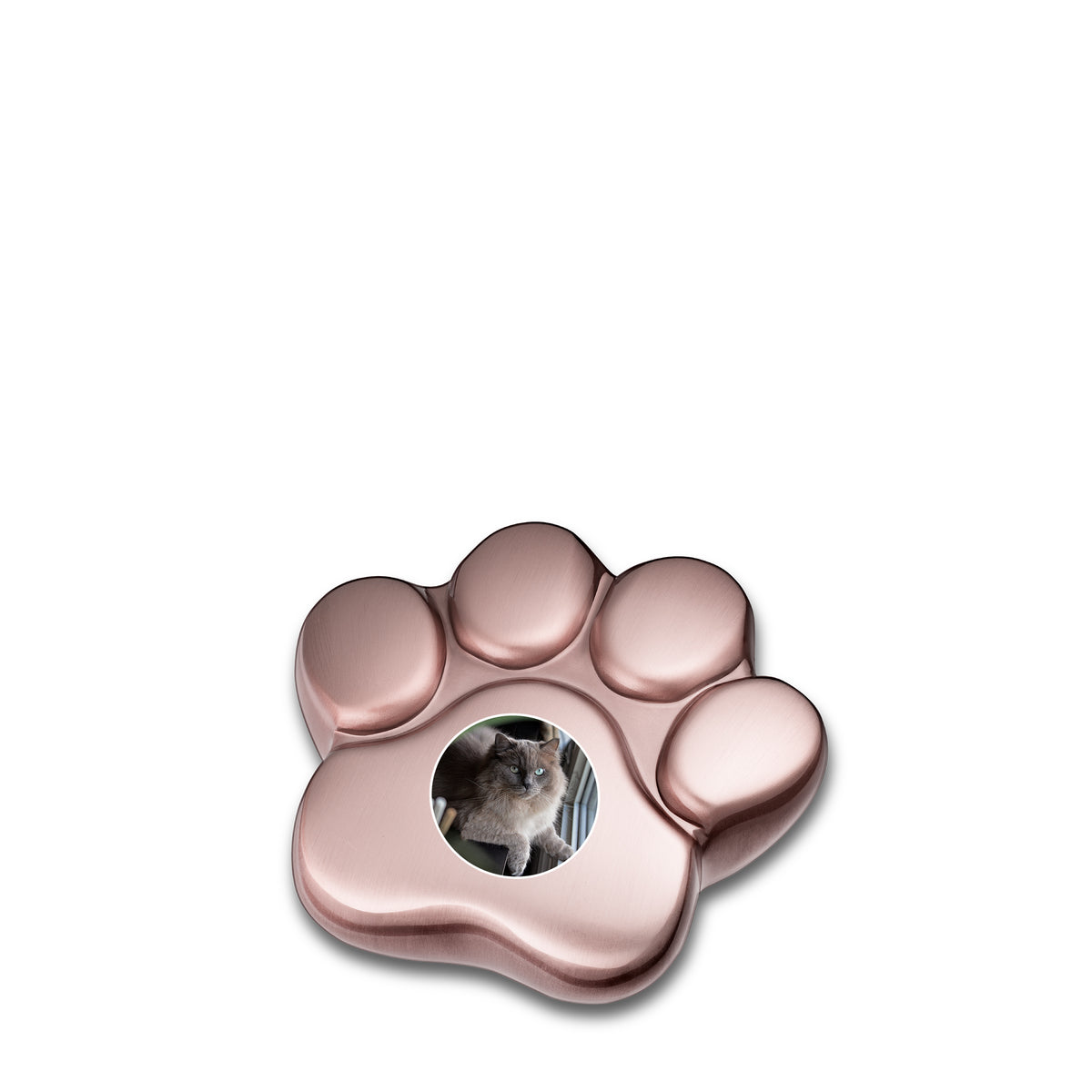 LovePaw Portrait Brushed Rose Gold Keepsake Pet Cremation Urn