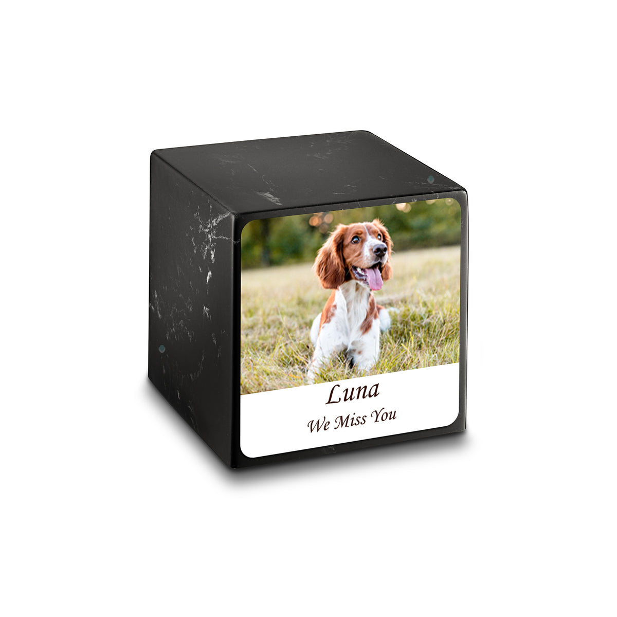 Small Cube Custom Pet Photo Black &amp; White Cultured Marble Pet Cremation Urn by MacKenzie