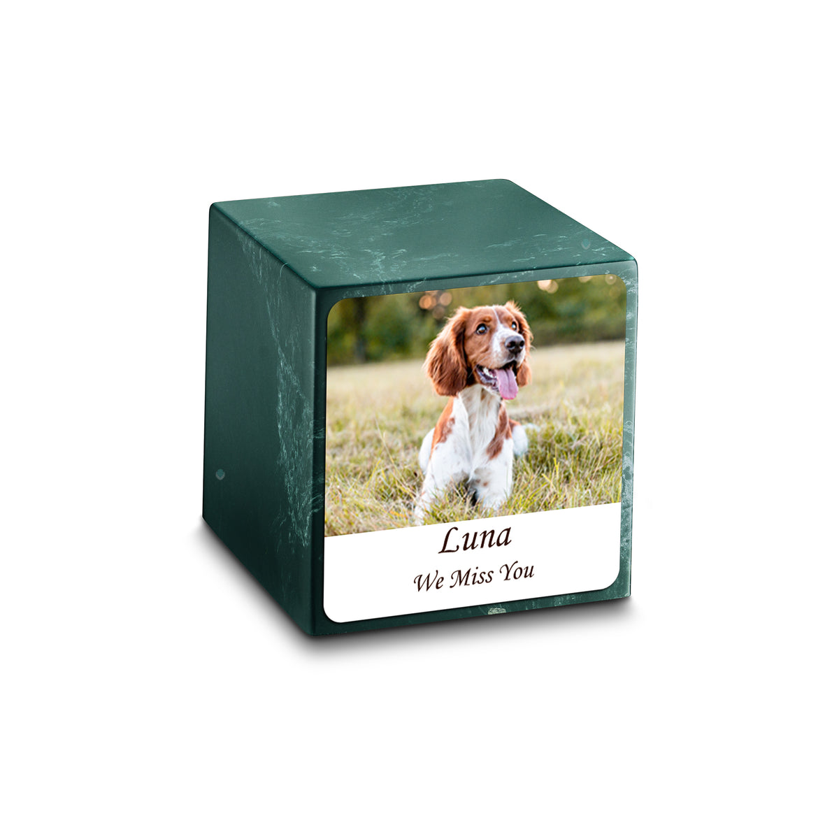 Small Cube Custom Pet Photo Evergreen Cultured Marble Pet Cremation Urn by MacKenzie