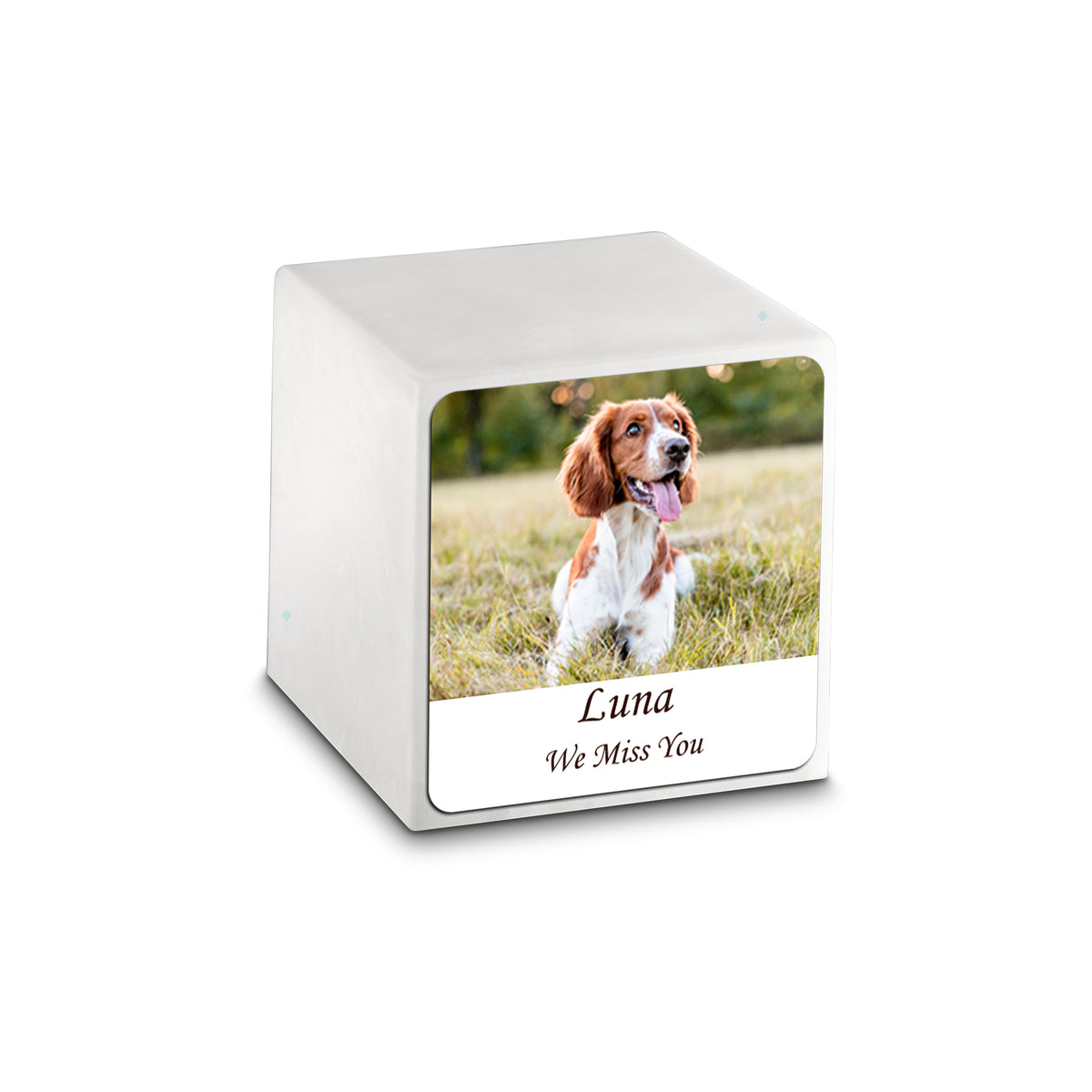 Small Cube Custom Pet Photo Glacier White Cultured Marble Pet Cremation Urn by MacKenzie