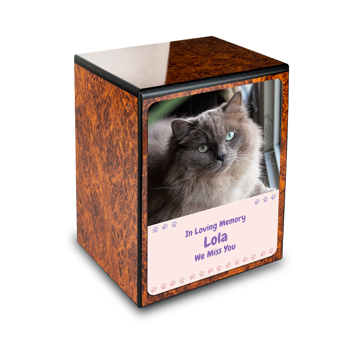 Custom Engraved Heritage Burl Paw Cat Portrait Small Cremation Urn Memorial Box for Ashes