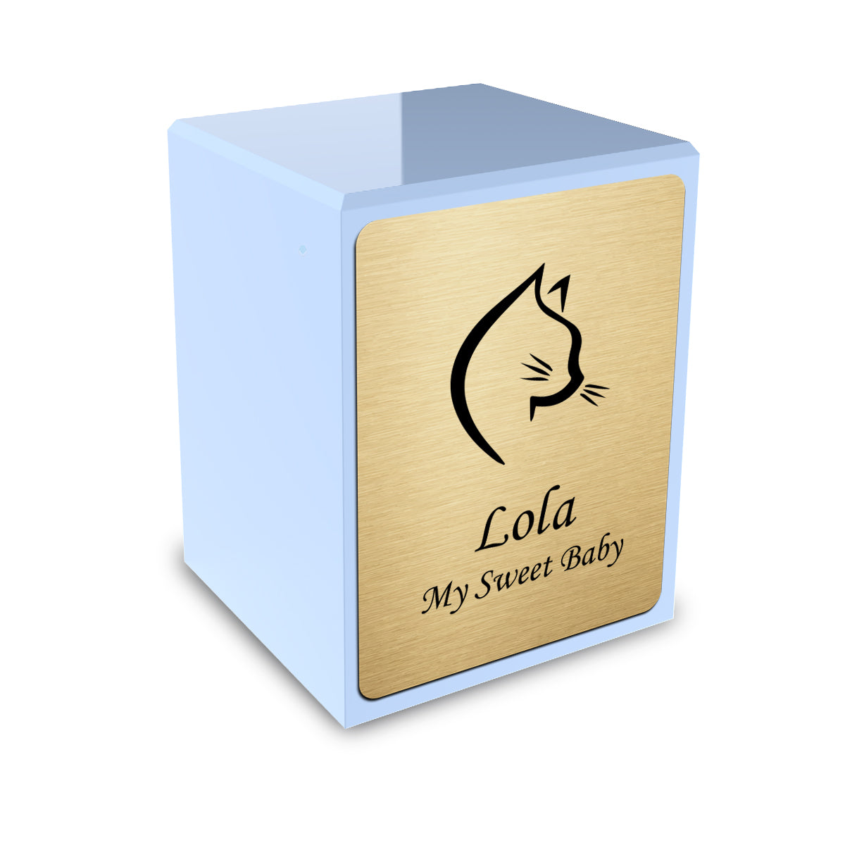 Custom Engraved Heritage Light Blue Cat Small Pet Cremation Urn Memorial Box for Ashes