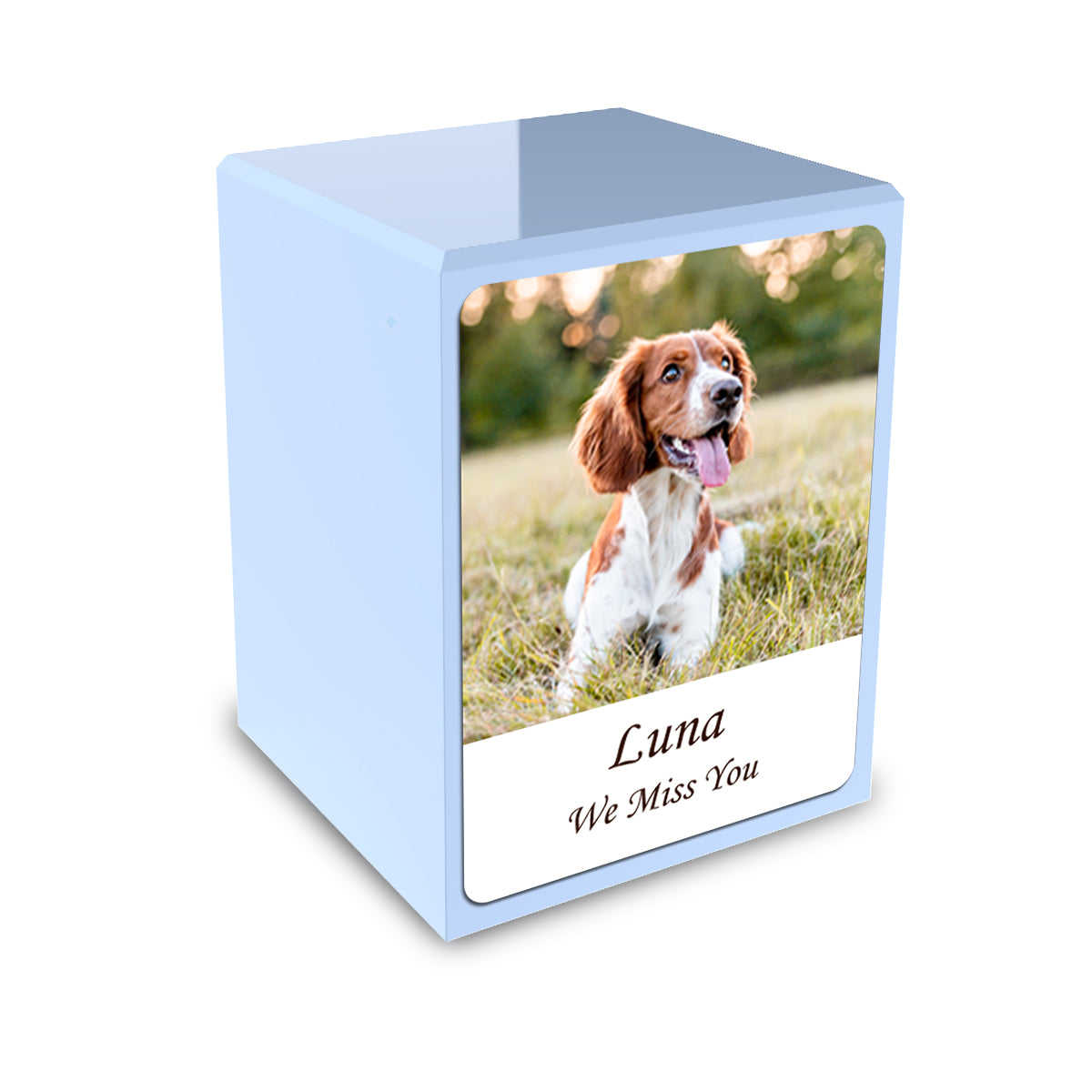 Custom Printed Portrait Small Heritage Light Blue Photo Wood Box Pet Cremation Urn for Ashes