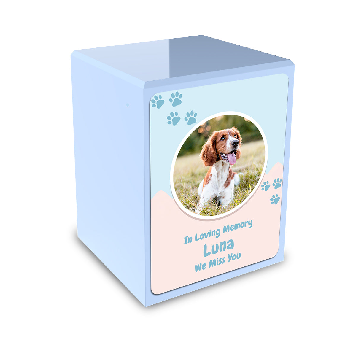Custom Engraved Heritage Light Blue Paw Pet Portrait Small Cremation Urn Memorial Box for Ashes