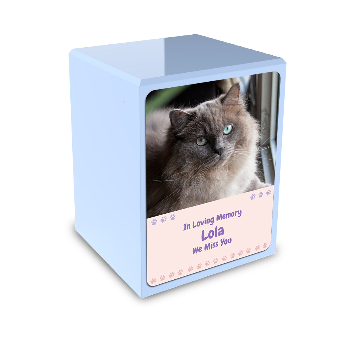 Custom Engraved Heritage Light Blue Paw Cat Portrait Small Cremation Urn Memorial Box for Ashes